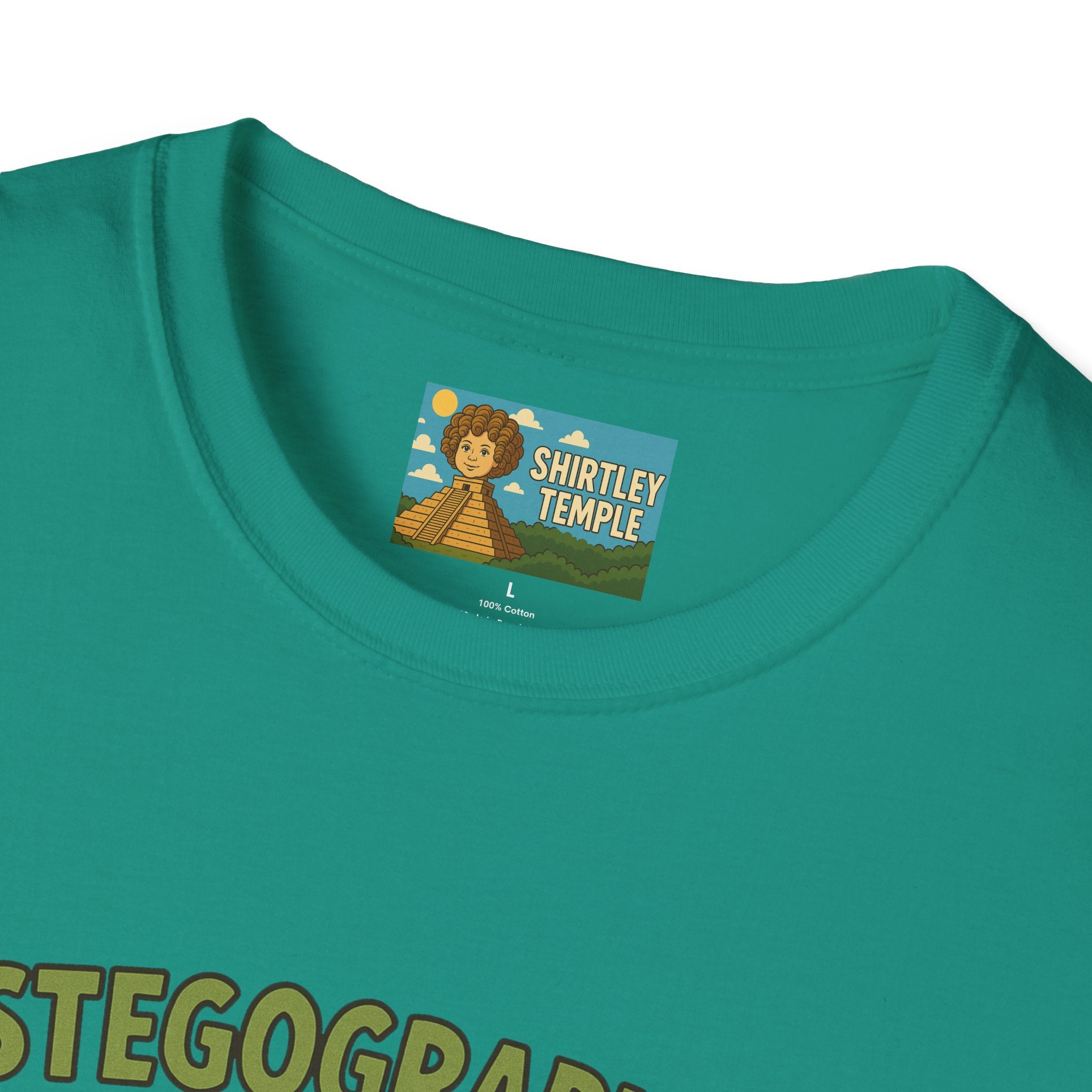 Stegographer Funny Stegosaurus Stenographer Mashup Softstyle Tee, Dino Wordplay Shirt, Unisex Tshirt Gift, Office tee for Dinosaur