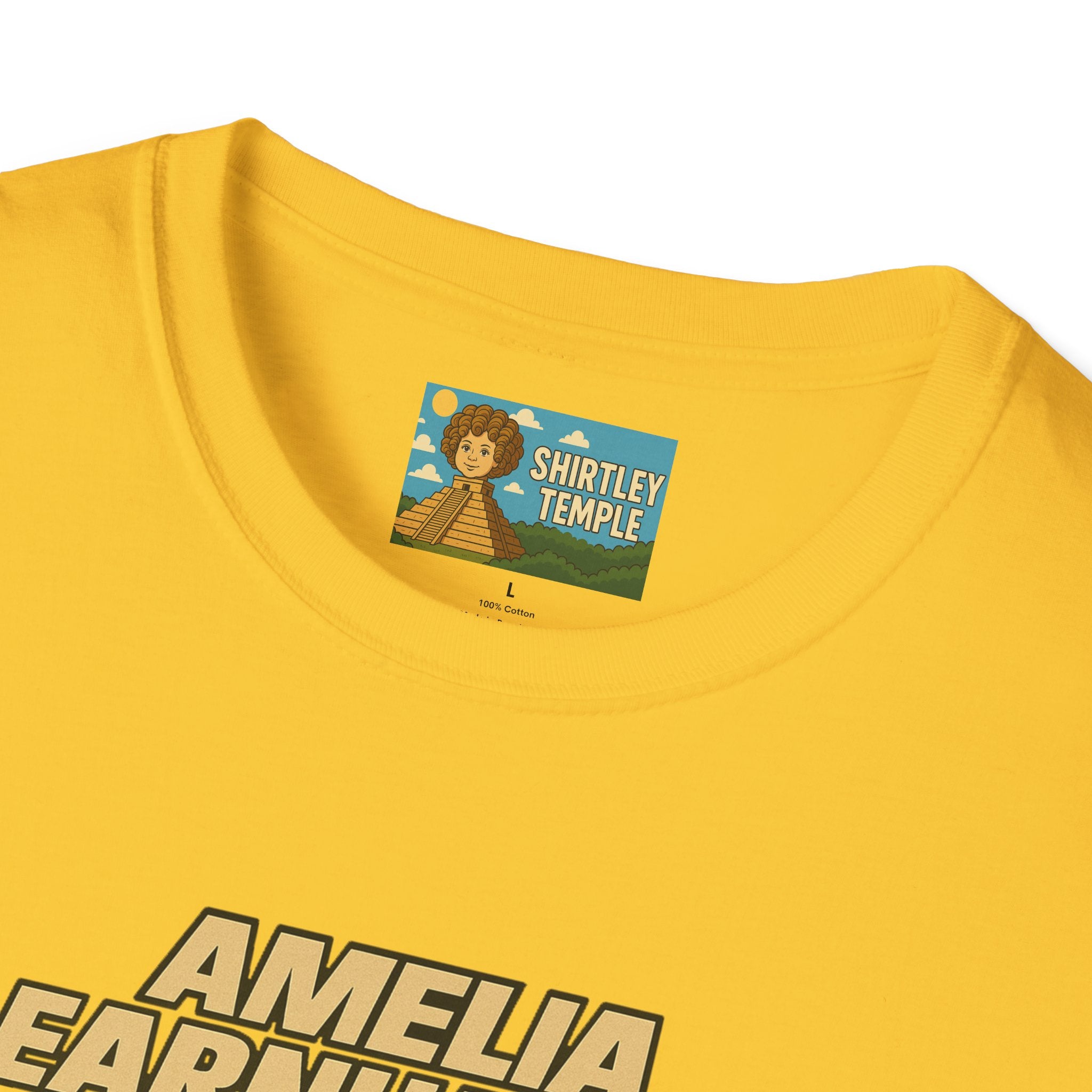 Amelia Earnhardt Funny Mashup Unisex Softstyle T-Shirt, Pilot Pun Tee, Earhart Earnhardt Gift, Aviation Racing Shirt