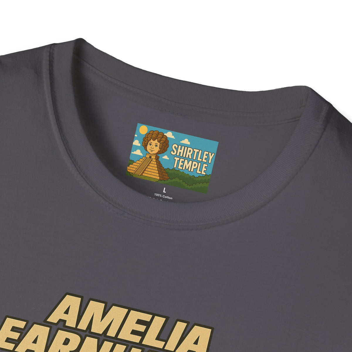 Amelia Earnhardt Funny Mashup Unisex Softstyle T-Shirt, Pilot Pun Tee, Earhart Earnhardt Gift, Aviation Racing Shirt
