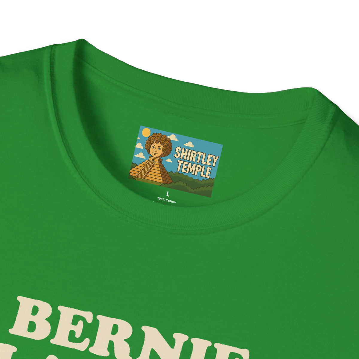 Bernie Flanders funny mashup simpson's style Bernie Sanders and Ned Flanders wordplay nerd gift unisex tee