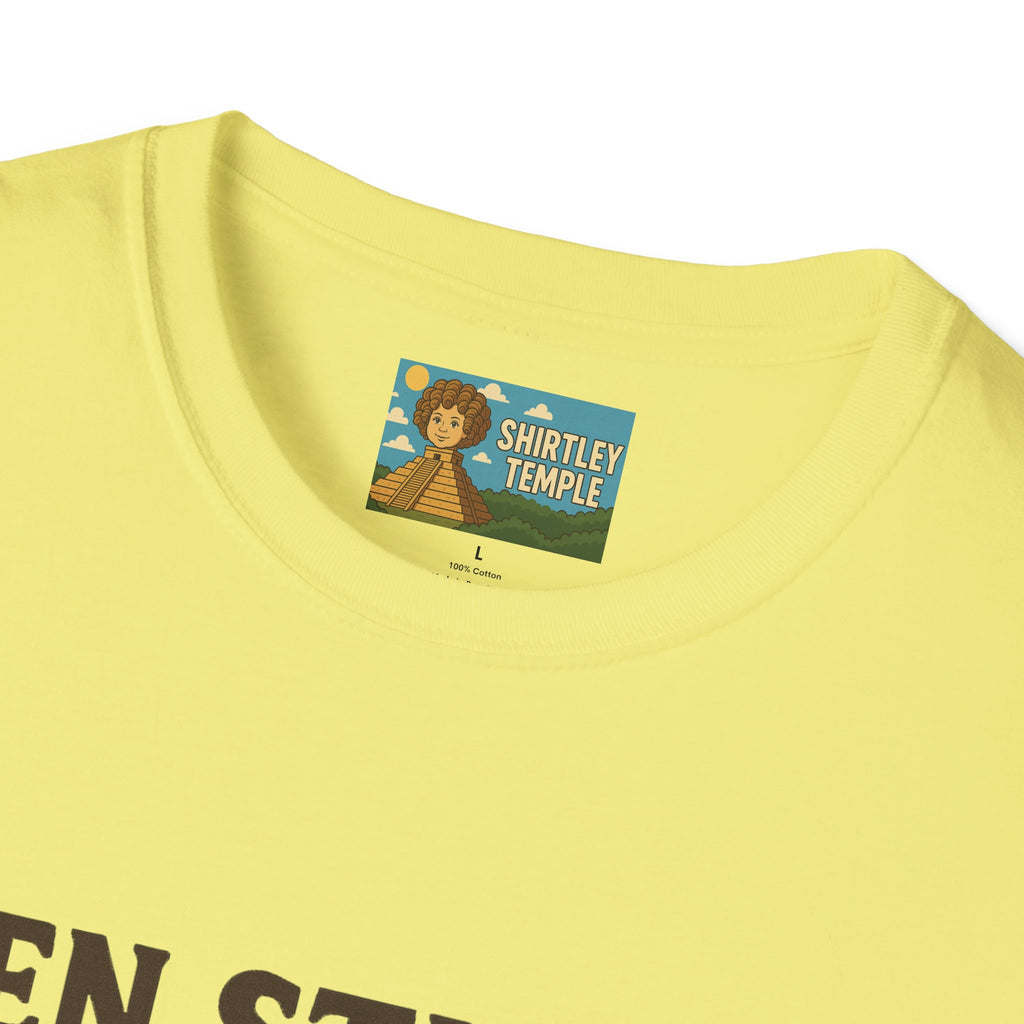 Zen Stiller Softstyle T-Shirt, Ben Tribute Actor Wordplay Tee, Laugh Gift Idea