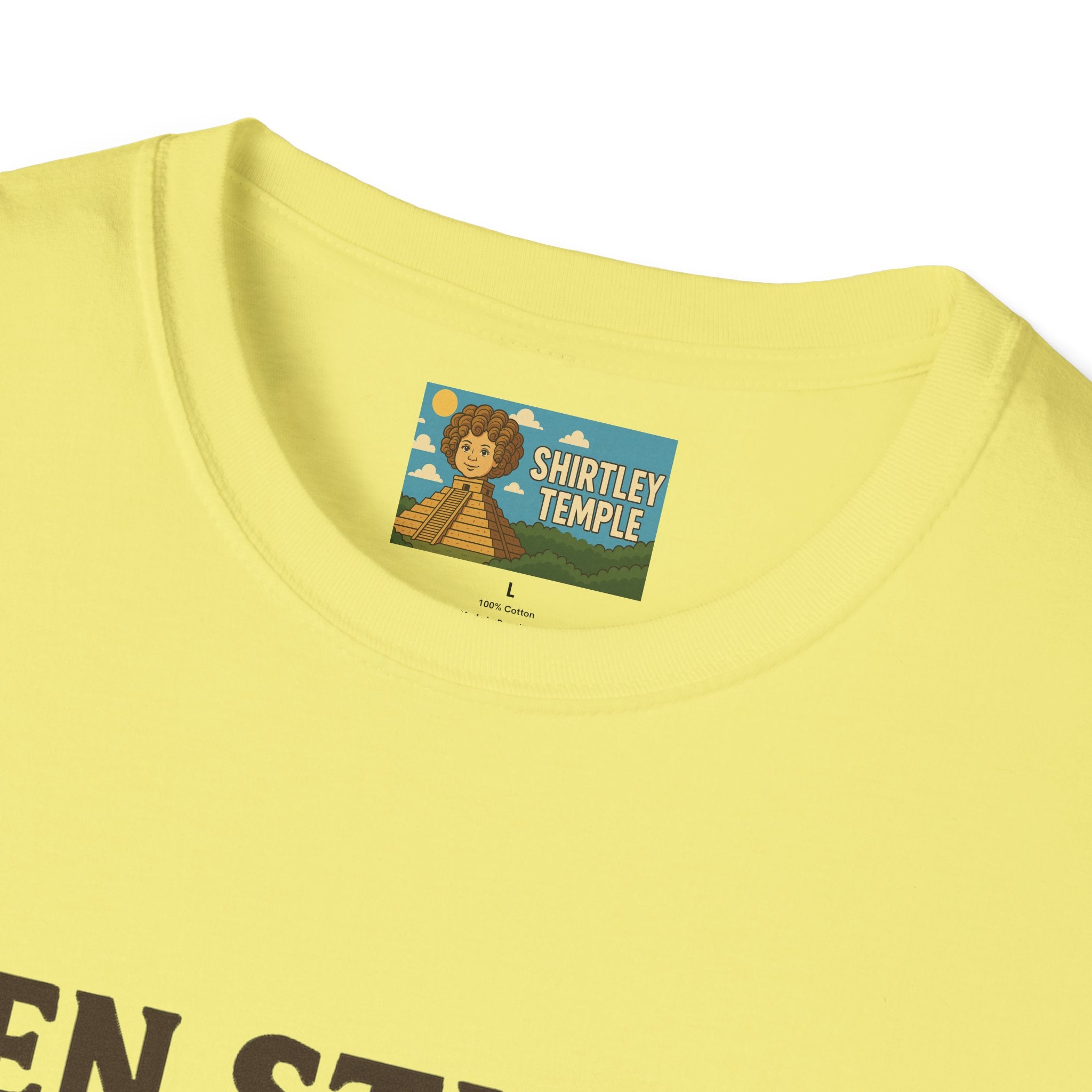 Zen Stiller Softstyle T-Shirt, Ben Tribute Actor Wordplay Tee, Laugh Gift Idea