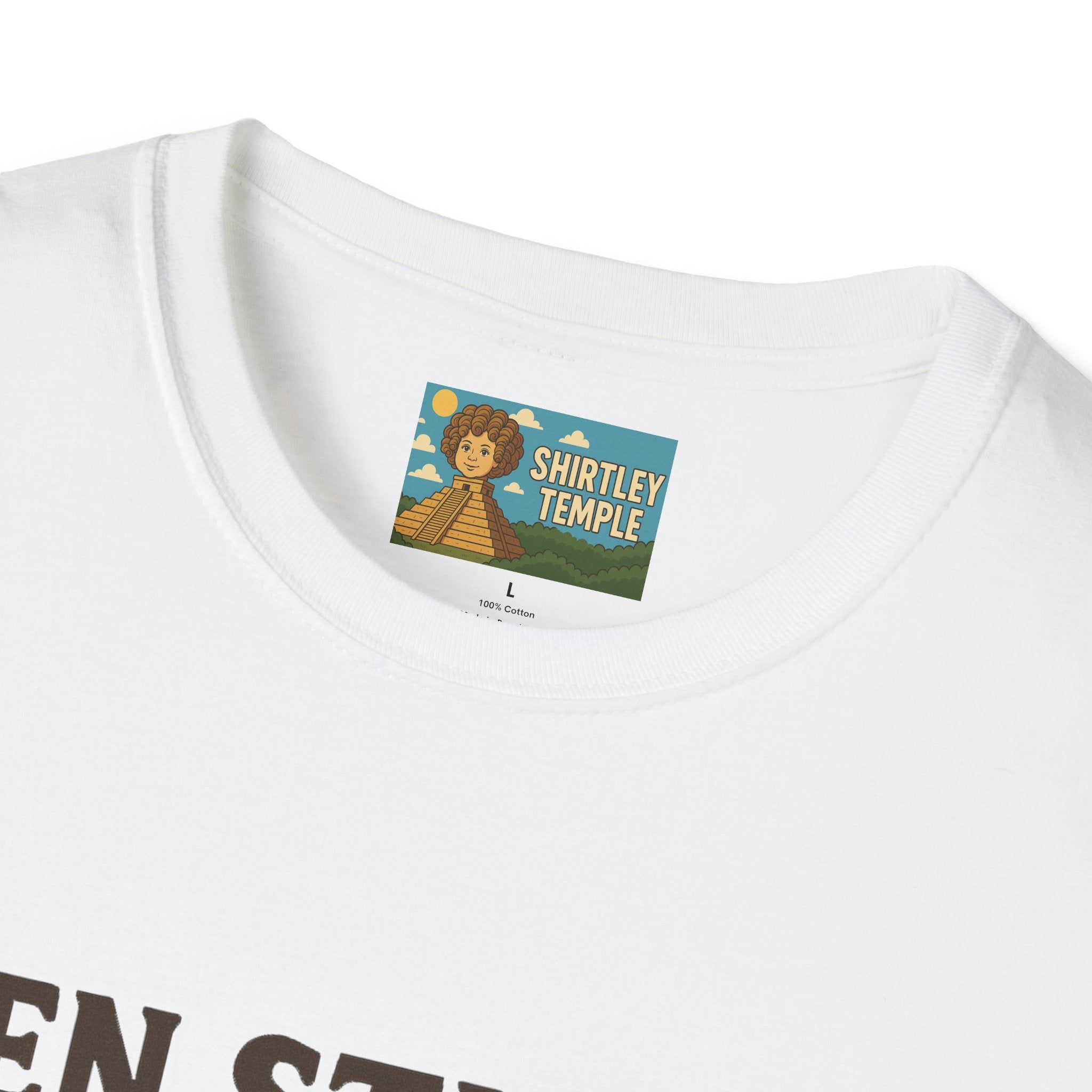 Zen Stiller Softstyle T-Shirt, Ben Tribute Actor Wordplay Tee, Laugh Gift Idea