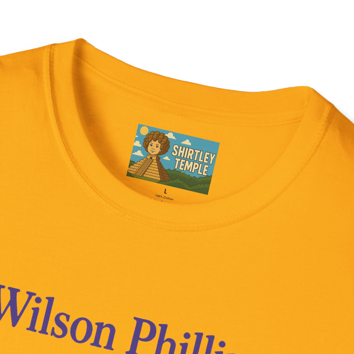 Wilson and Phillips Mashup Softstyle T-Shirt, Funny Wordplay Tribute Singers, Volleyball Theme Gift Tee