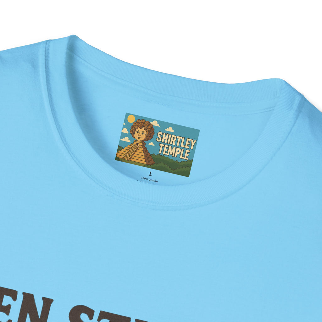 Zen Stiller Softstyle T-Shirt, Ben Tribute Actor Wordplay Tee, Laugh Gift Idea