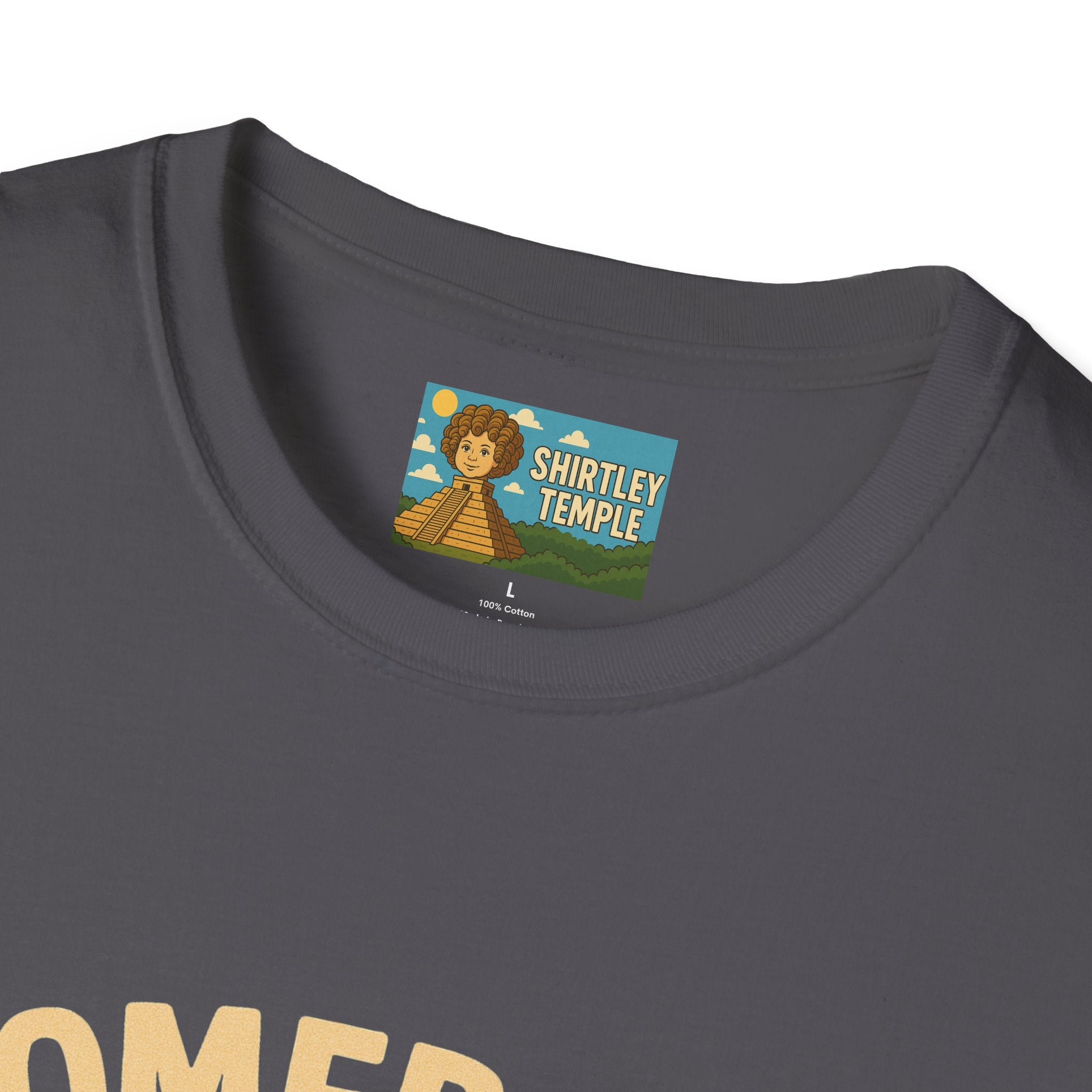 Homebody funny shirt wordplay pun literal home for a body