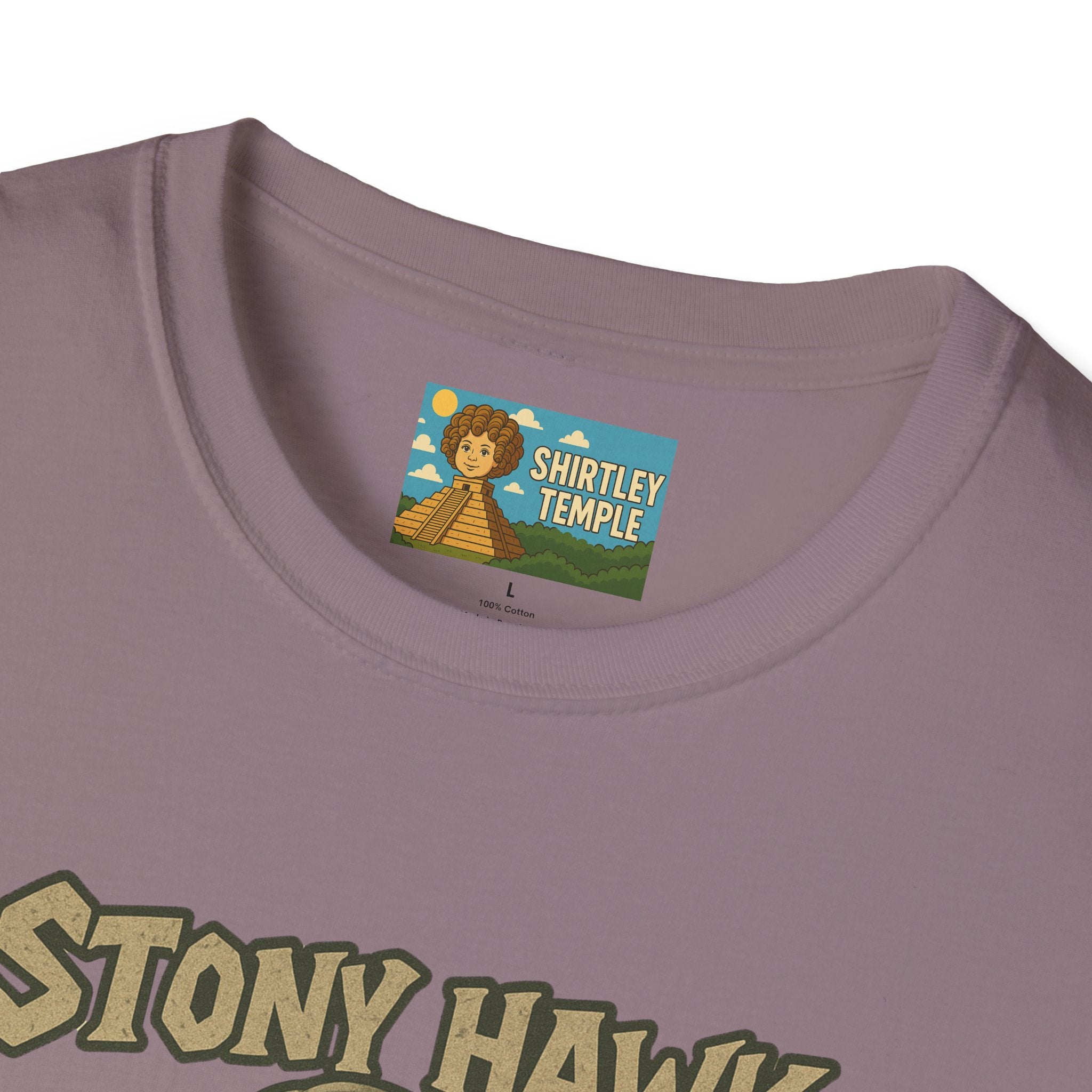 Stony Hawk Unisex T-Shirt, Skateboard Legend Parody Tee, Statue Wordplay Shirt, Funny Skater Gift, Skateboarding Fan Top