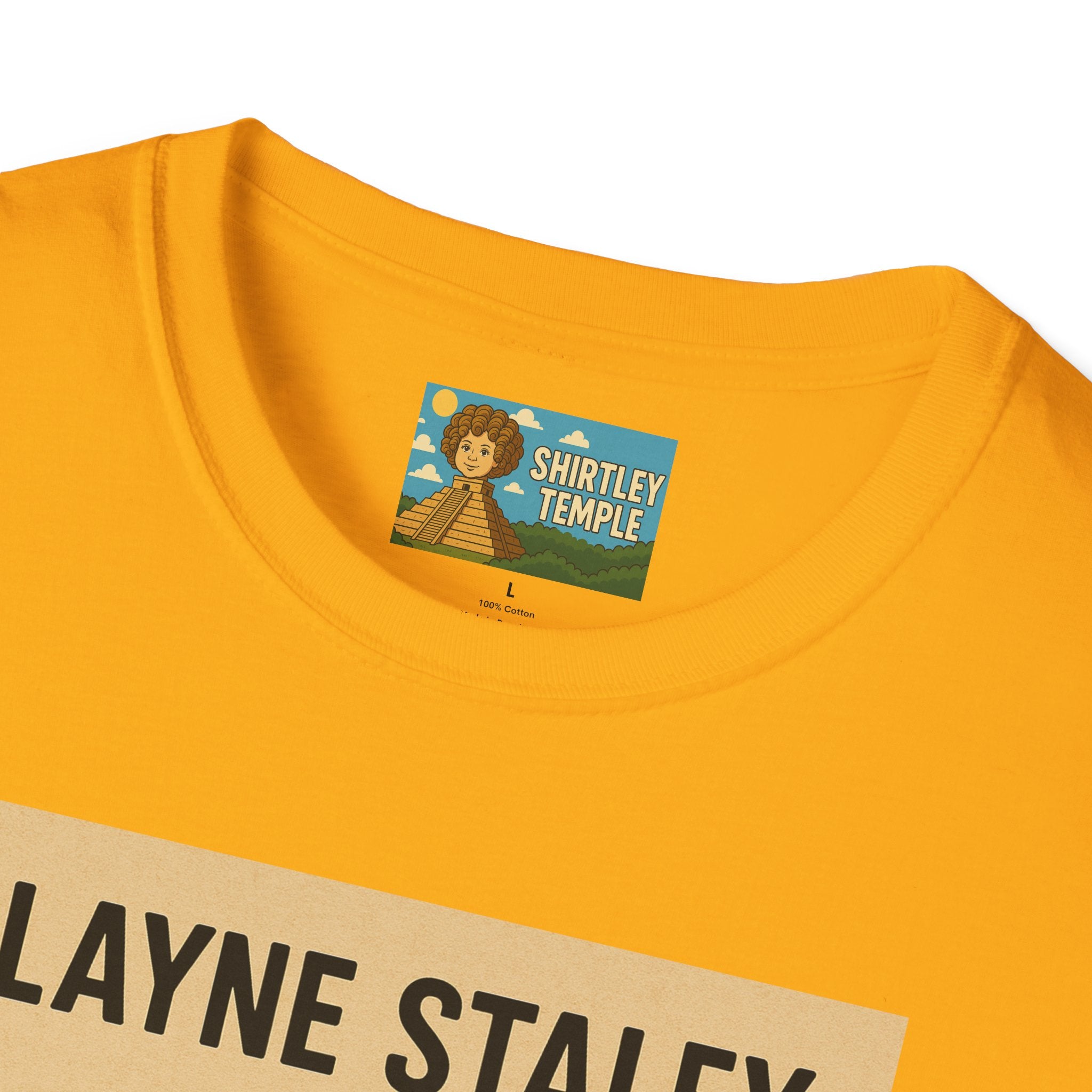 Layne Staley Man in the Box Unisex Softstyle T-Shirt - Alice in Chains Inspired Tee, Music Fan Gift, Grunge Rock Band Top, Funny