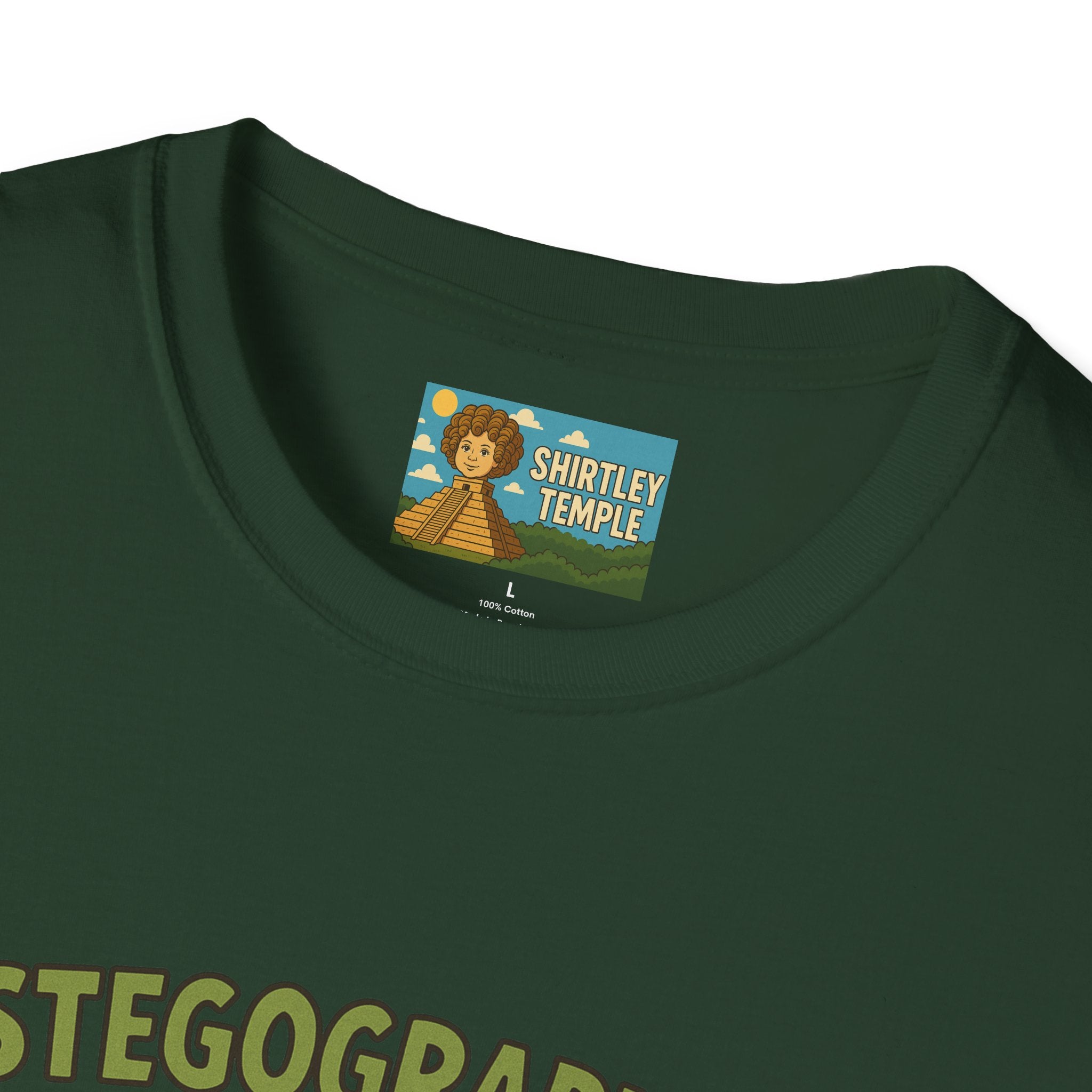 Stegographer Funny Stegosaurus Stenographer Mashup Softstyle Tee, Dino Wordplay Shirt, Unisex Tshirt Gift, Office tee for Dinosaur