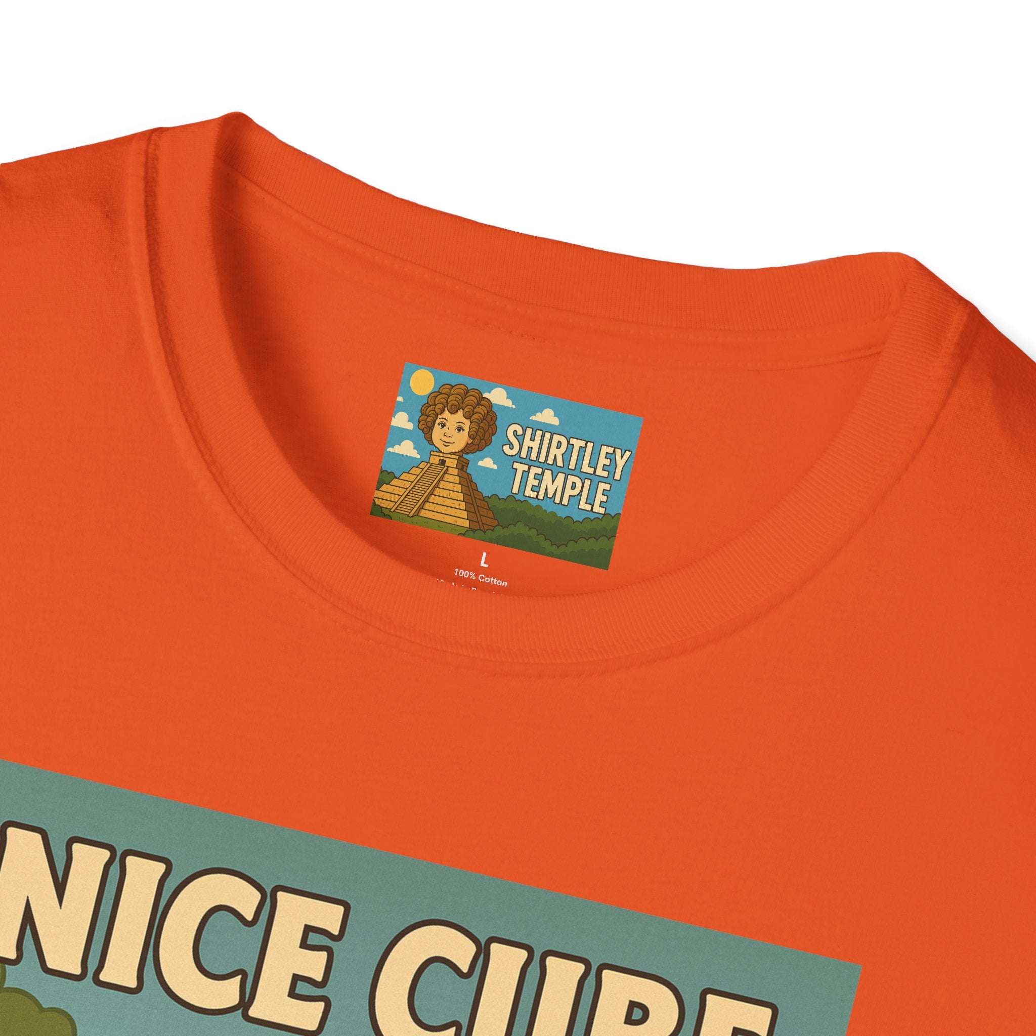 Nice Cube Funny Parody T-Shirt, Ice Cube Tribute Tee, Humorous Wordplay Top, Cool Gift for Hip Hop Fans, Softstyle Shirt