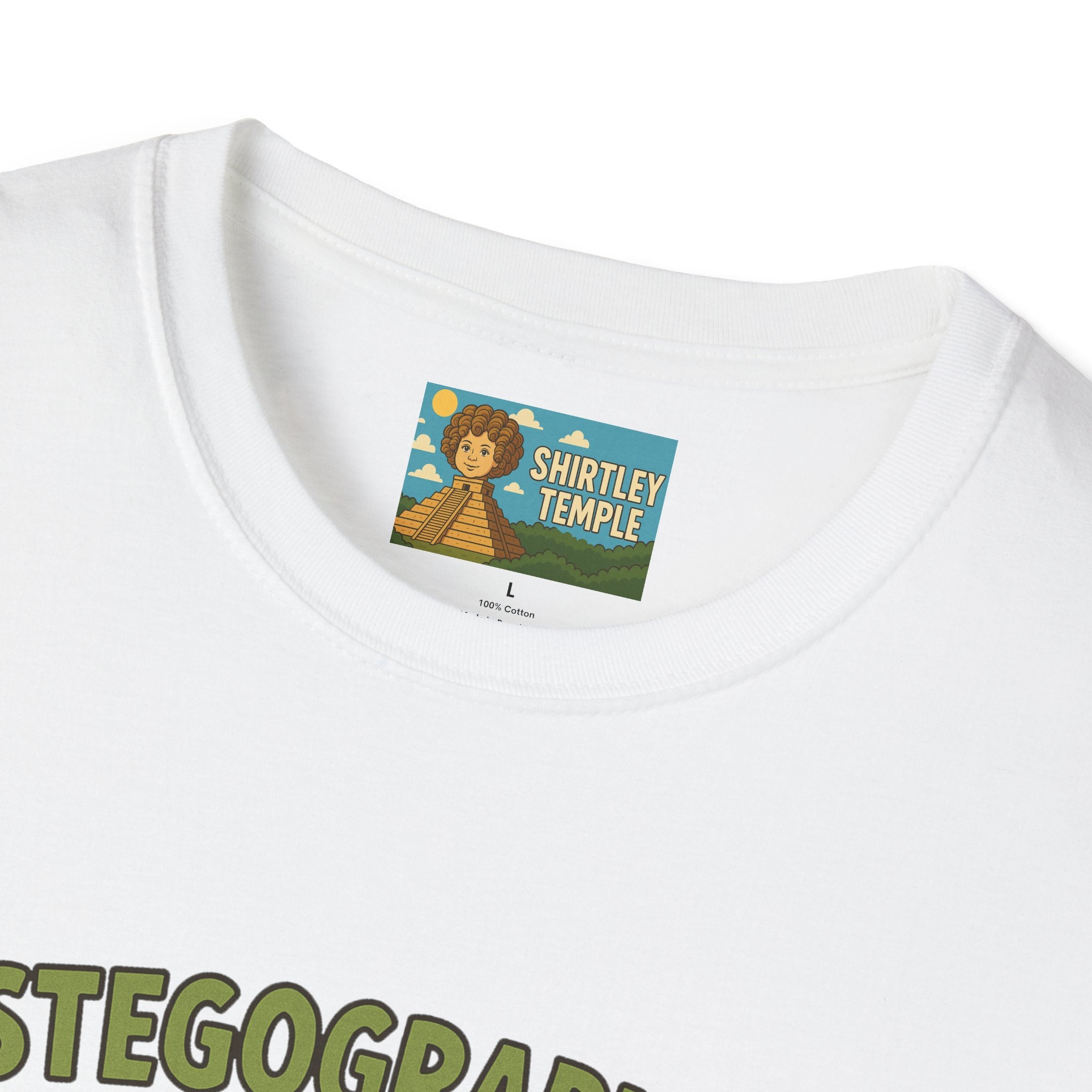 Stegographer Funny Stegosaurus Stenographer Mashup Softstyle Tee, Dino Wordplay Shirt, Unisex Tshirt Gift, Office tee for Dinosaur