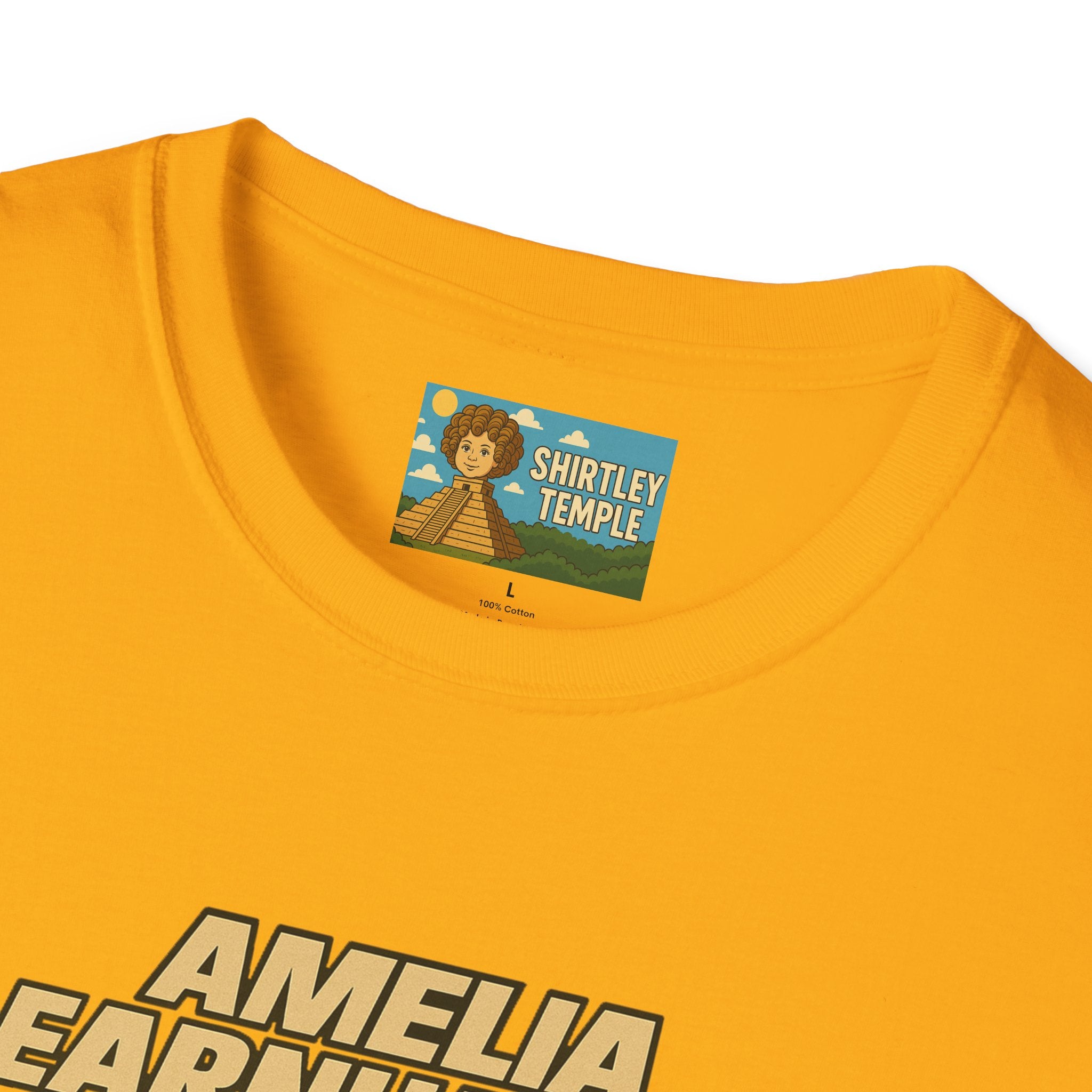 Amelia Earnhardt Funny Mashup Unisex Softstyle T-Shirt, Pilot Pun Tee, Earhart Earnhardt Gift, Aviation Racing Shirt