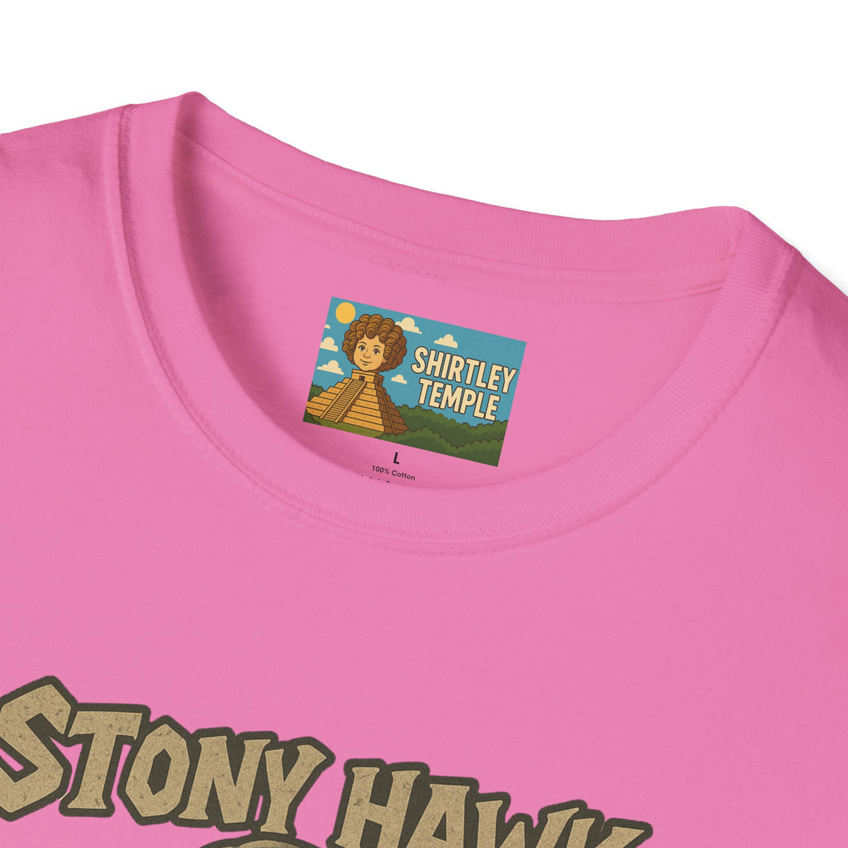 Stony Hawk Unisex T-Shirt, Skateboard Legend Parody Tee, Statue Wordplay Shirt, Funny Skater Gift, Skateboarding Fan Top