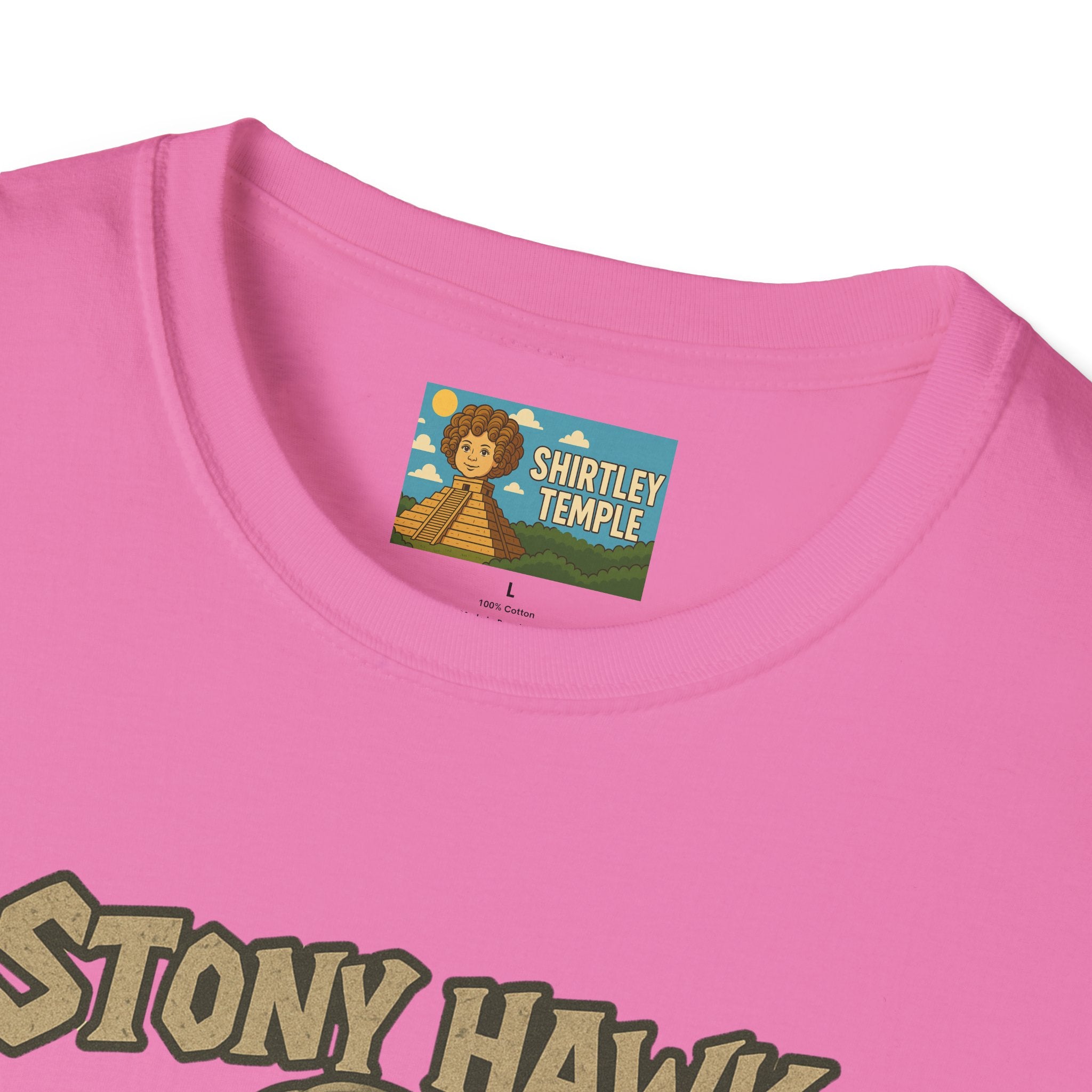 Stony Hawk Unisex T-Shirt, Skateboard Legend Parody Tee, Statue Wordplay Shirt, Funny Skater Gift, Skateboarding Fan Top