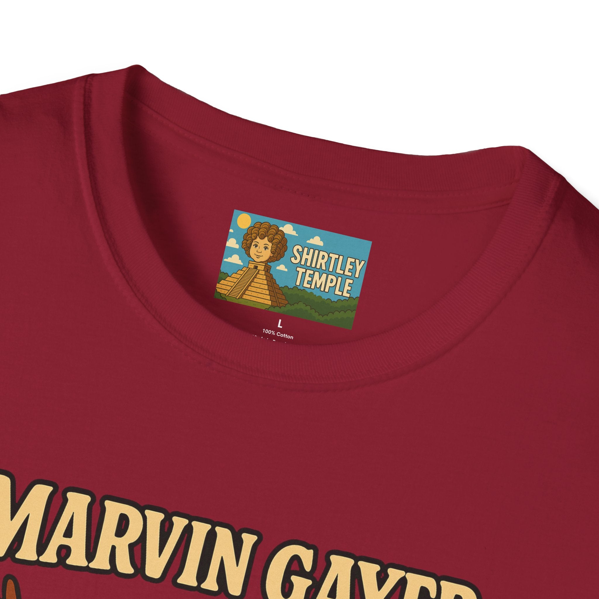 Marvin Gayer Funny Tribute T-Shirt, Parody Tee, Marvin Gaye Shirt, Unisex Top, Music Fan Gift