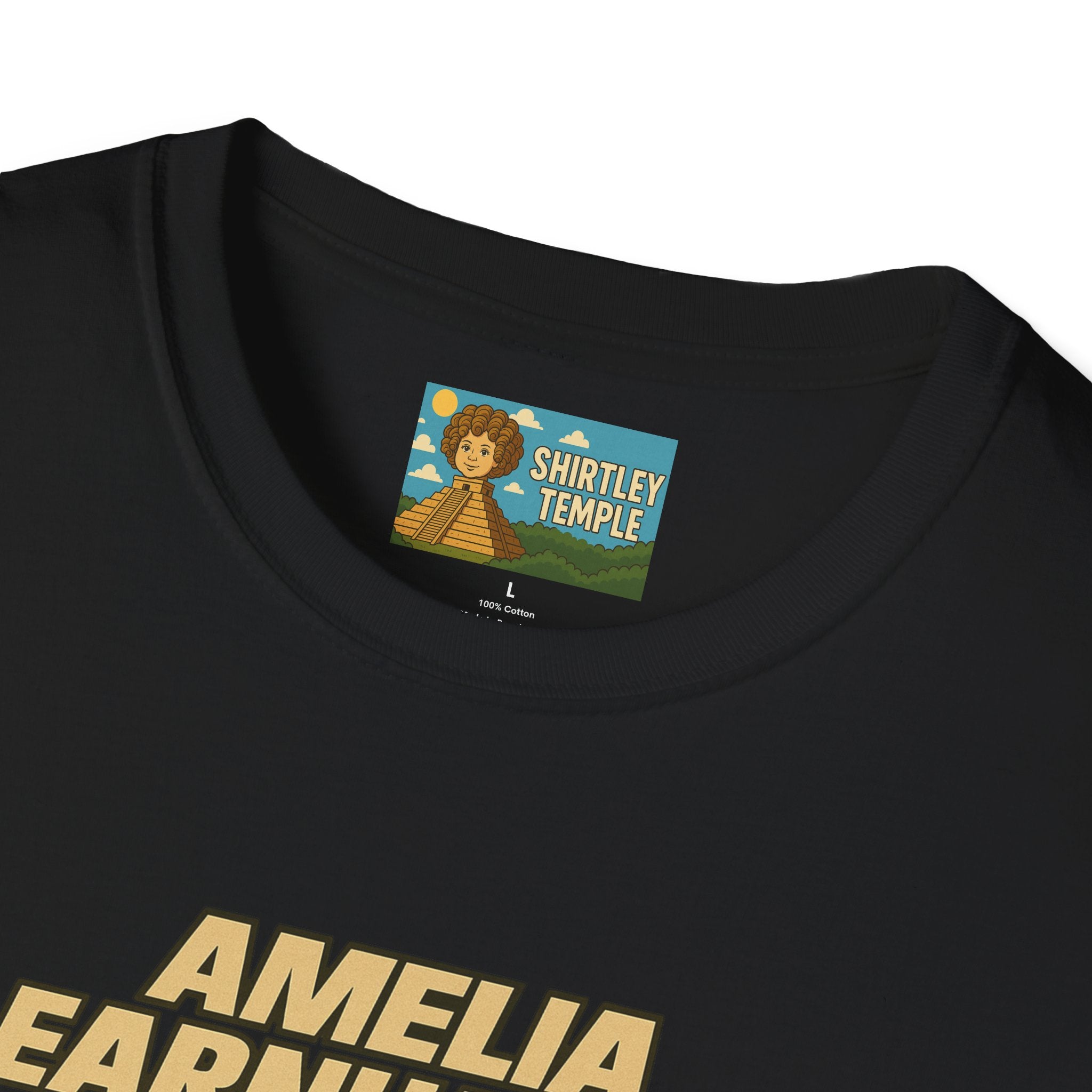 Amelia Earnhardt Funny Mashup Unisex Softstyle T-Shirt, Pilot Pun Tee, Earhart Earnhardt Gift, Aviation Racing Shirt