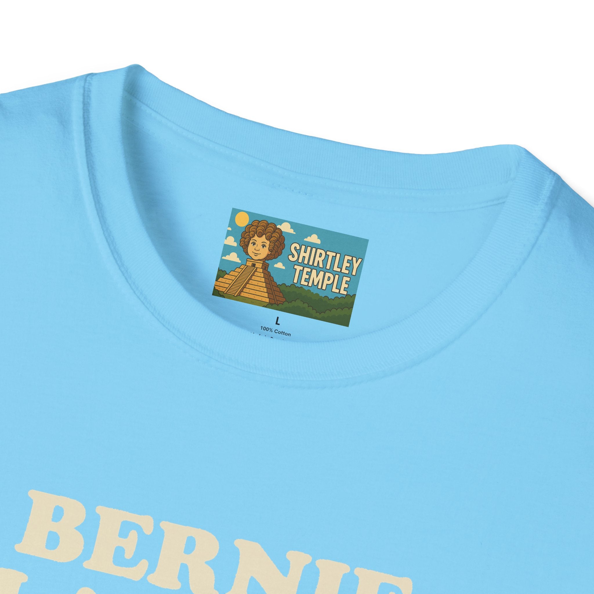 Bernie Flanders funny mashup simpson's style Bernie Sanders and Ned Flanders wordplay nerd gift unisex tee