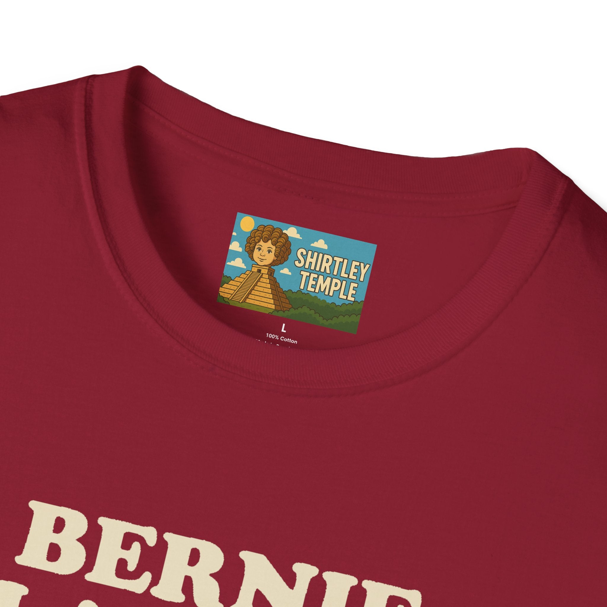 Bernie Flanders funny mashup simpson's style Bernie Sanders and Ned Flanders wordplay nerd gift unisex tee