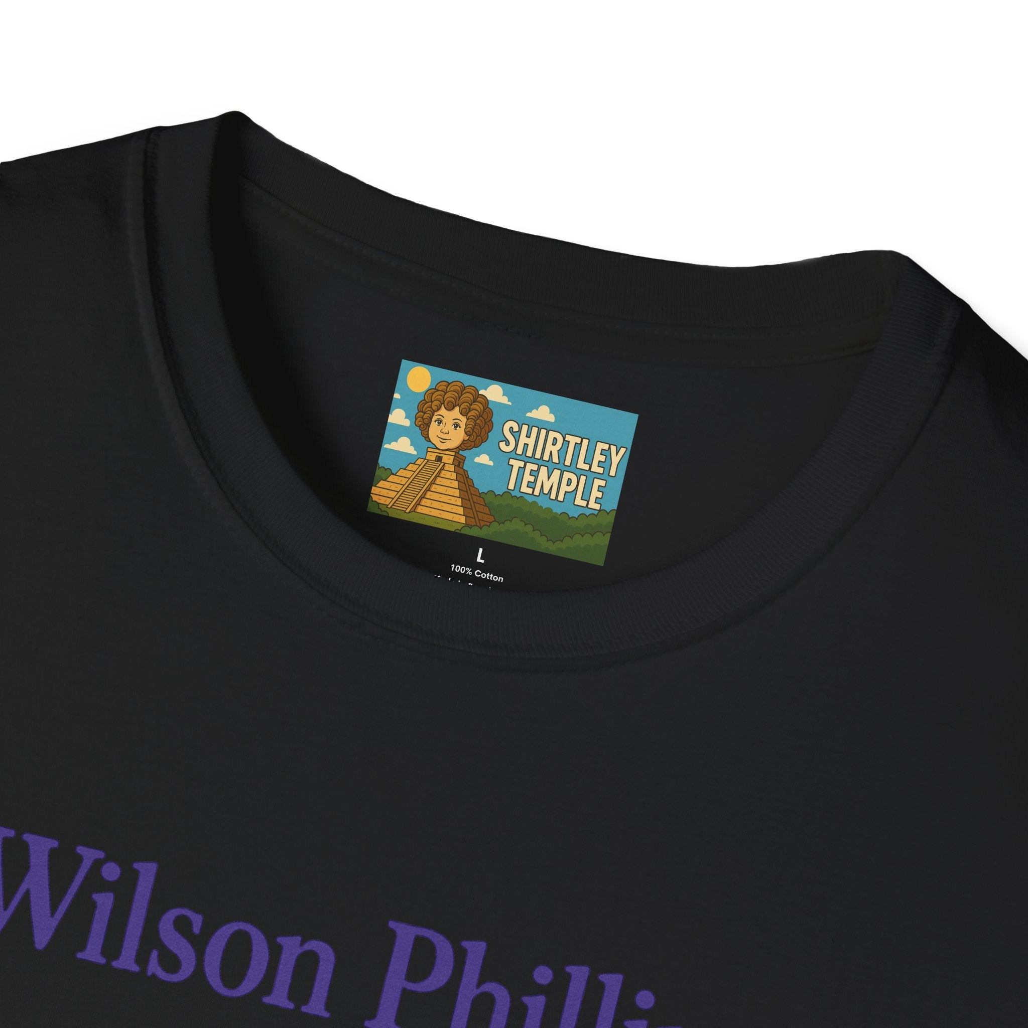 Wilson and Phillips Mashup Softstyle T-Shirt, Funny Wordplay Tribute Singers, Volleyball Theme Gift Tee