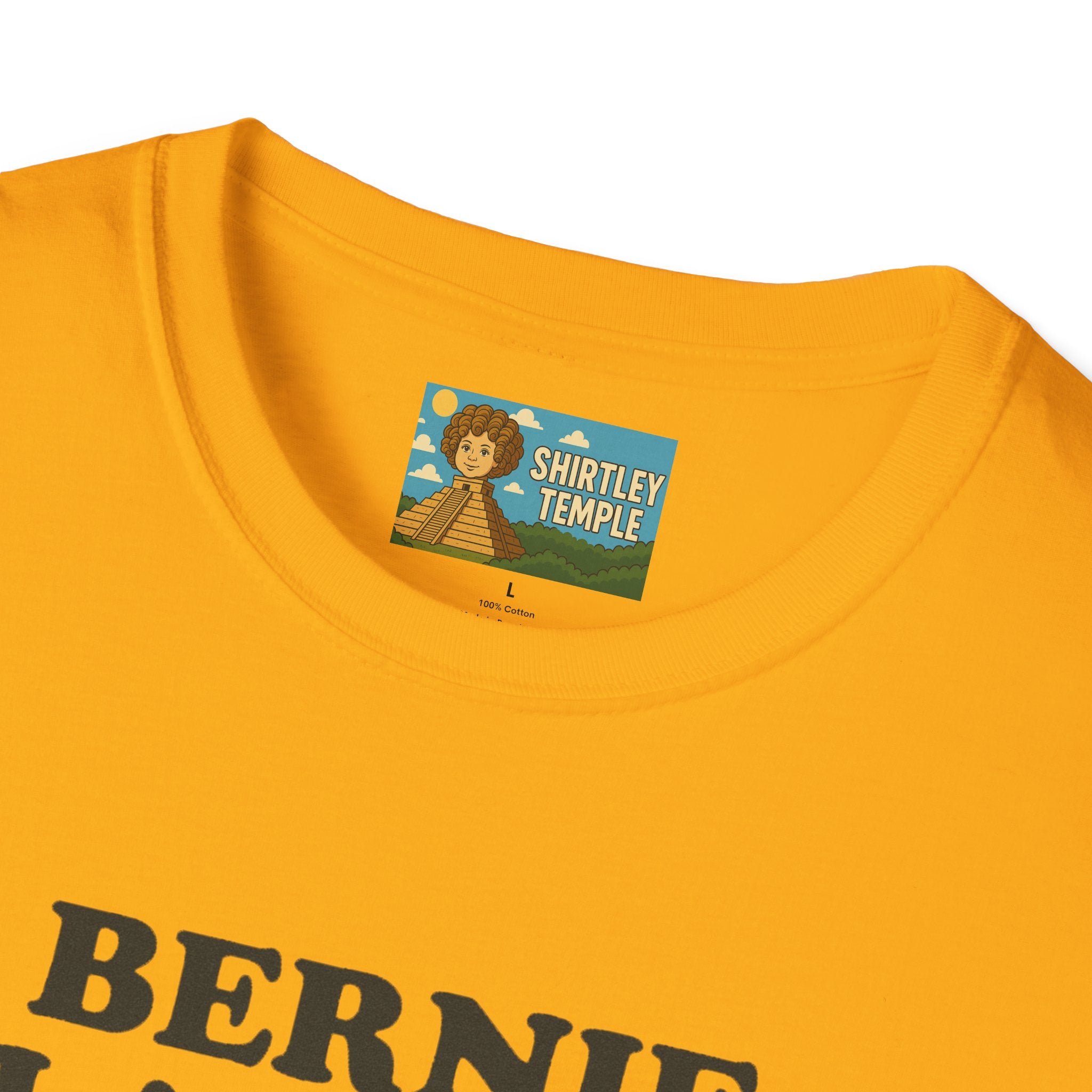 Bernie Flanders funny mashup simpson's style Bernie Sanders and Ned Flanders wordplay nerd gift unisex tee