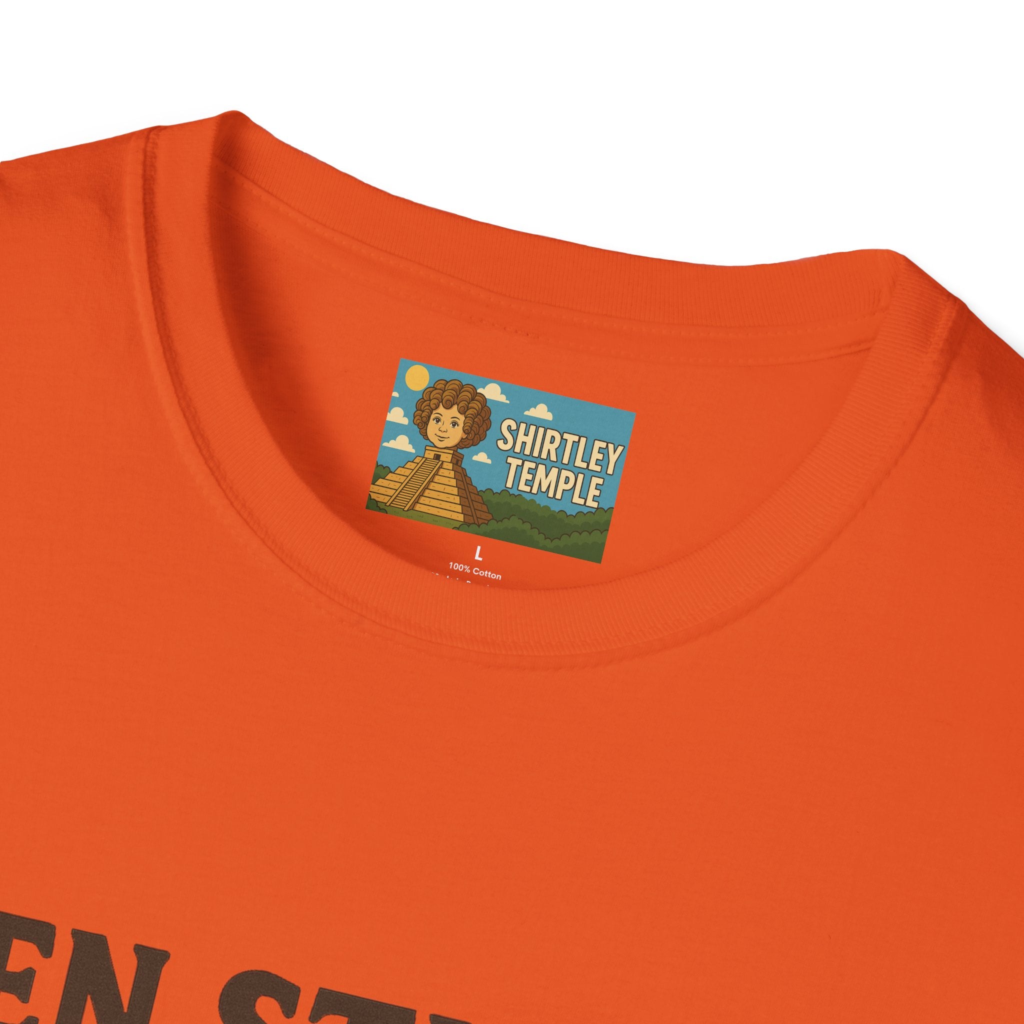 Zen Stiller Softstyle T-Shirt, Ben Tribute Actor Wordplay Tee, Laugh Gift Idea