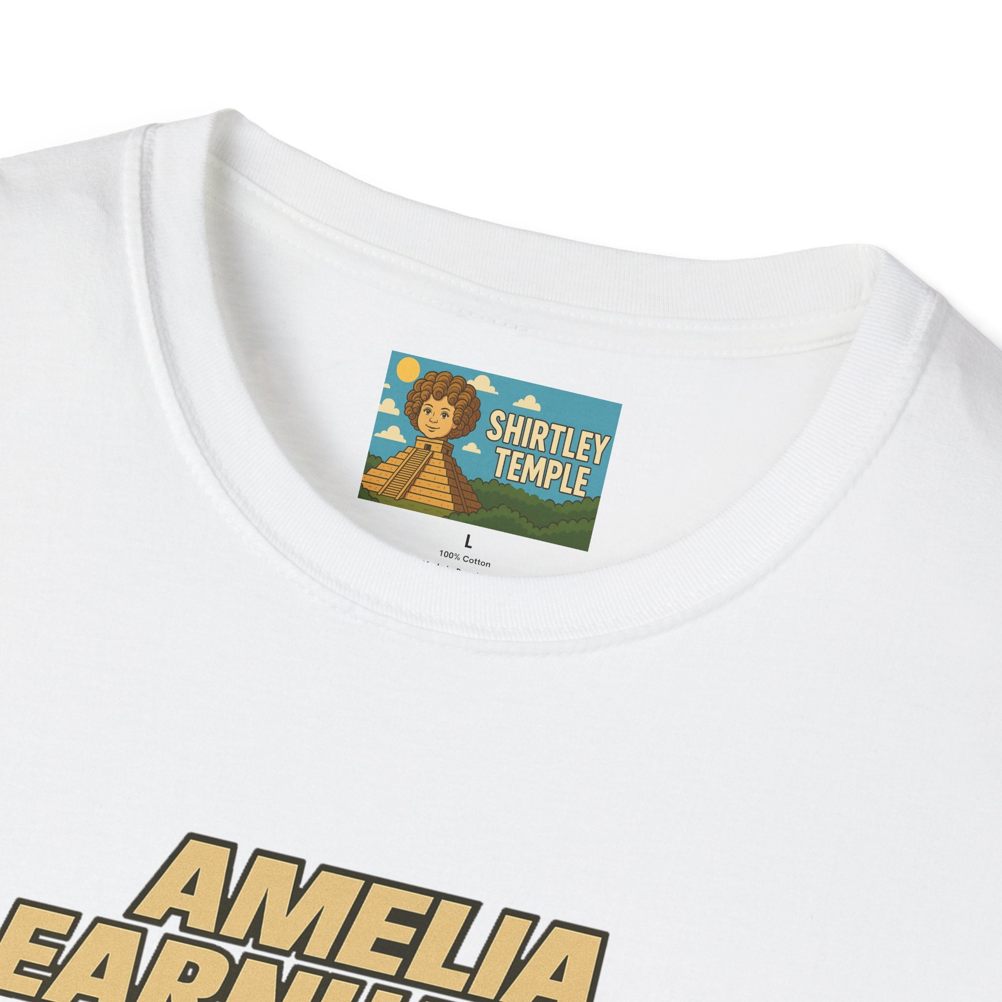 Amelia Earnhardt Funny Mashup Unisex Softstyle T-Shirt, Pilot Pun Tee, Earhart Earnhardt Gift, Aviation Racing Shirt