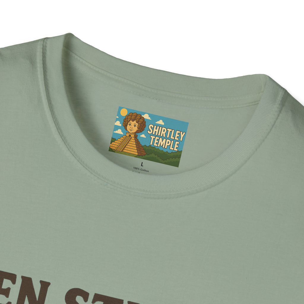 Zen Stiller Softstyle T-Shirt, Ben Tribute Actor Wordplay Tee, Laugh Gift Idea