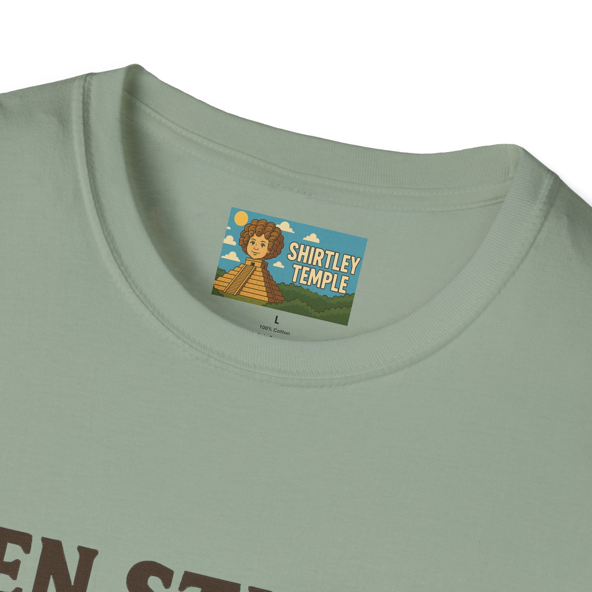 Zen Stiller Softstyle T-Shirt, Ben Tribute Actor Wordplay Tee, Laugh Gift Idea