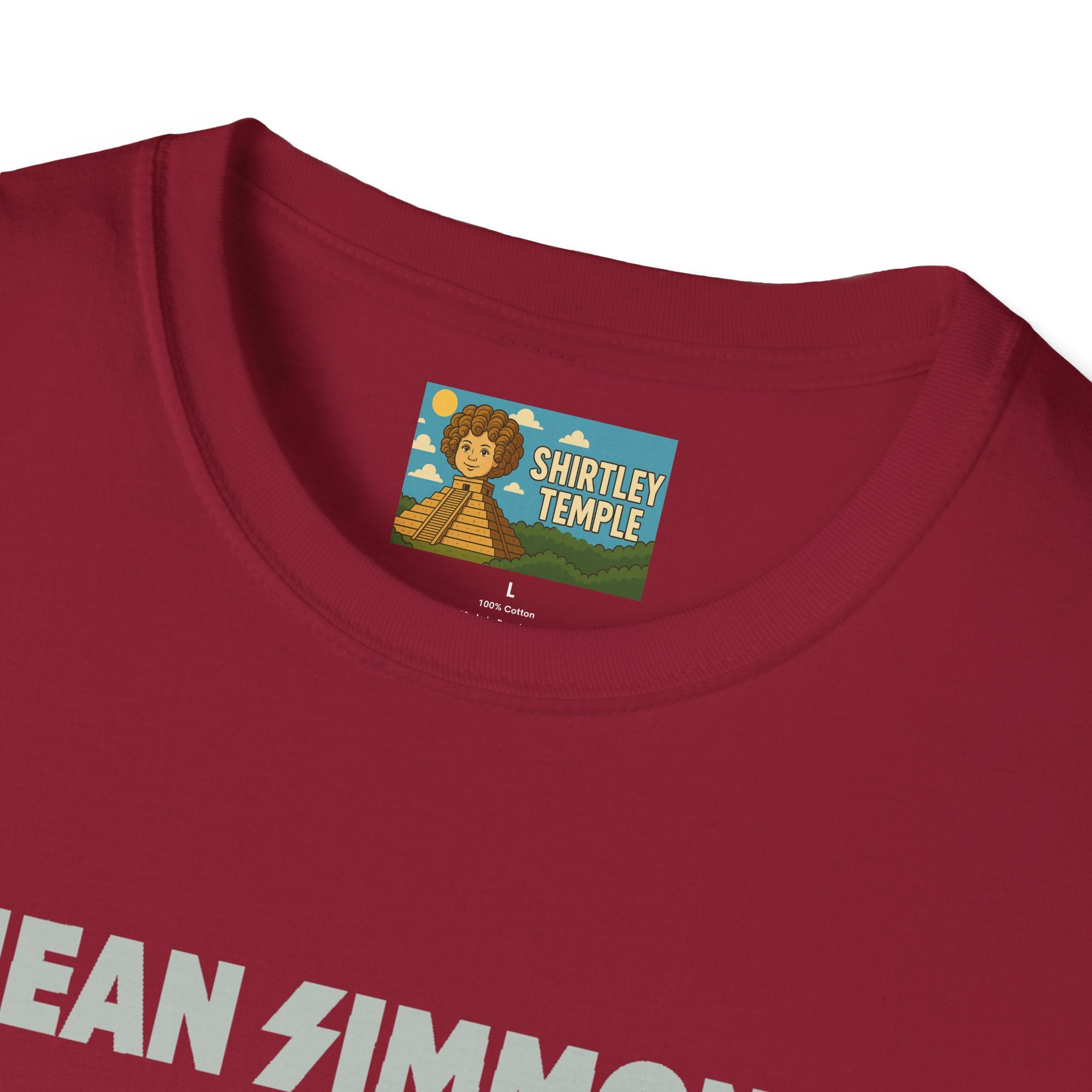 Jean Simmons Funny Shirt Mashup Tribute Parody Pun Rockstar Softstyle T-Shirt, Unisex Tee, Graphic Tee, Music Lover Gift, Jeans Lover Shirt,