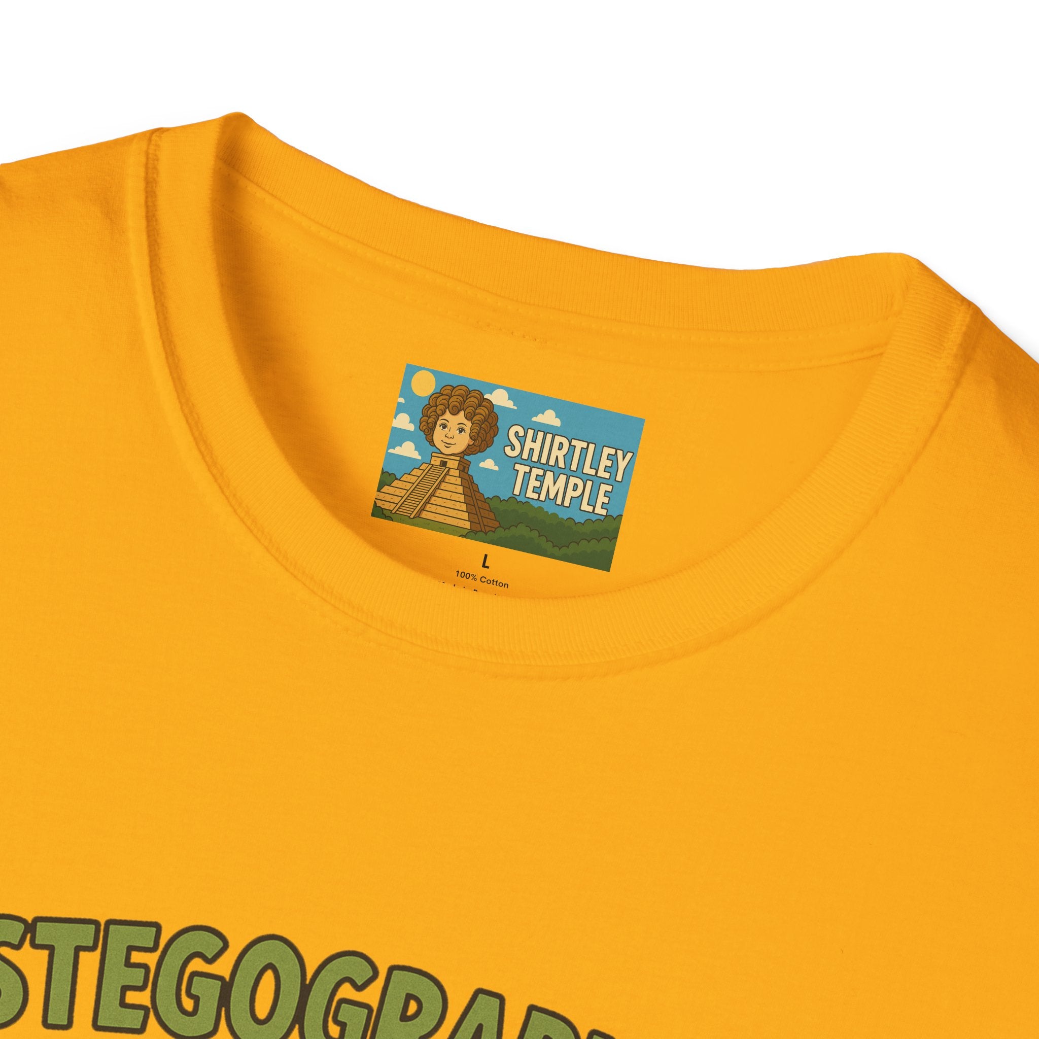 Stegographer Funny Stegosaurus Stenographer Mashup Softstyle Tee, Dino Wordplay Shirt, Unisex Tshirt Gift, Office tee for Dinosaur