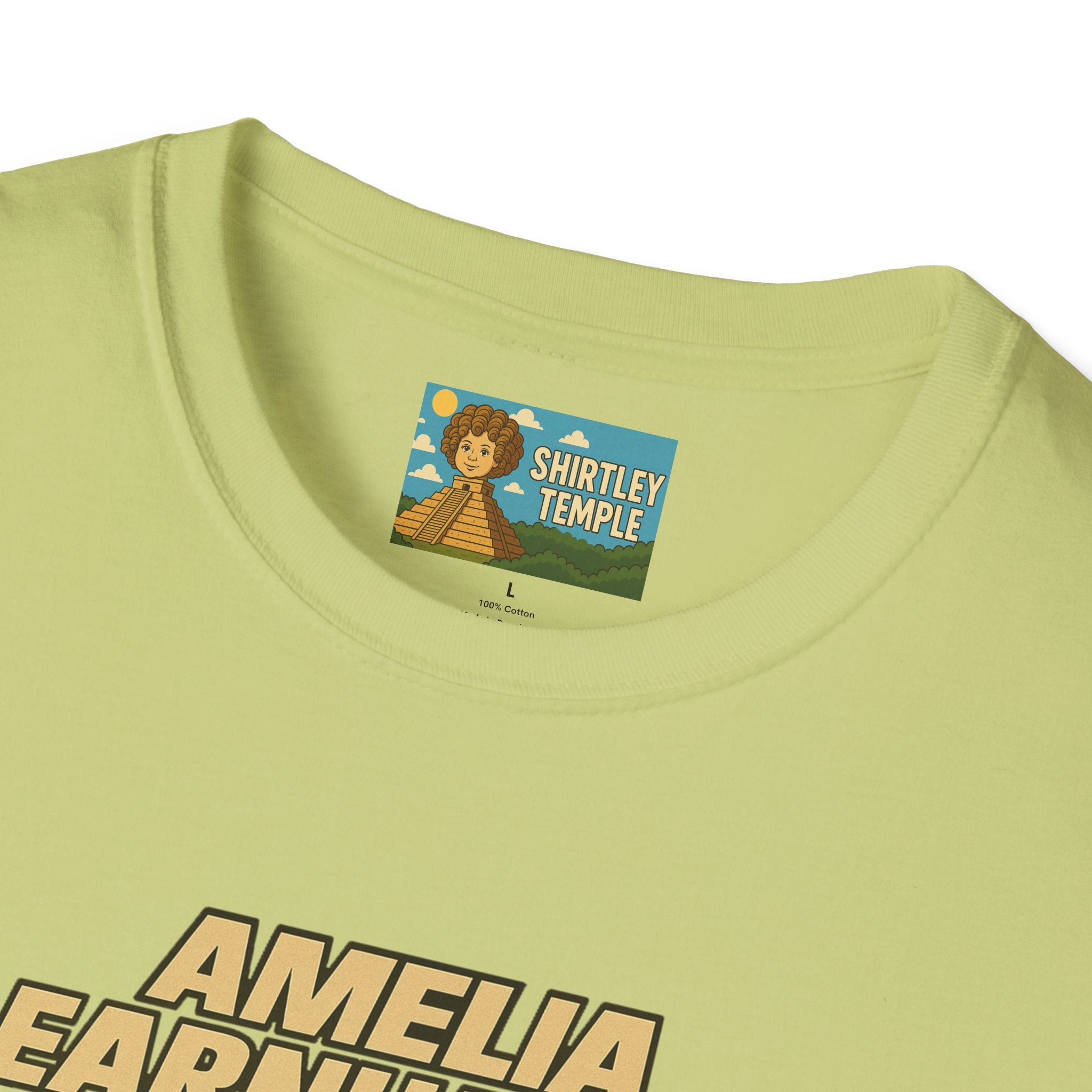 Amelia Earnhardt Funny Mashup Unisex Softstyle T-Shirt, Pilot Pun Tee, Earhart Earnhardt Gift, Aviation Racing Shirt