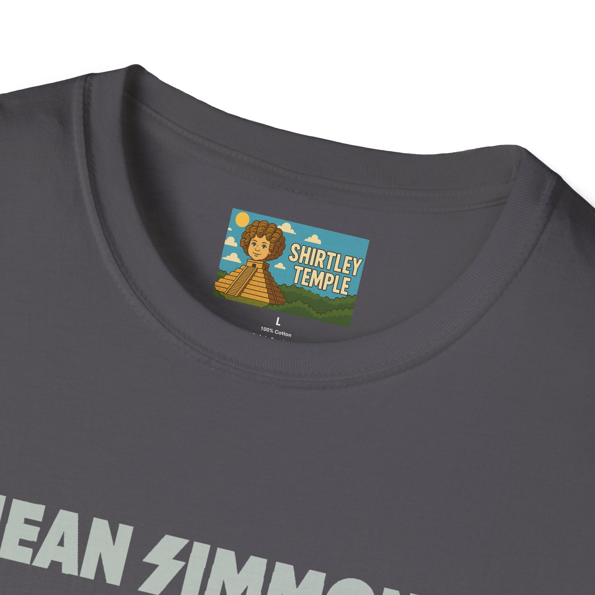 Jean Simmons Funny Shirt Mashup Tribute Parody Pun Rockstar Softstyle T-Shirt, Unisex Tee, Graphic Tee, Music Lover Gift, Jeans Lover Shirt,