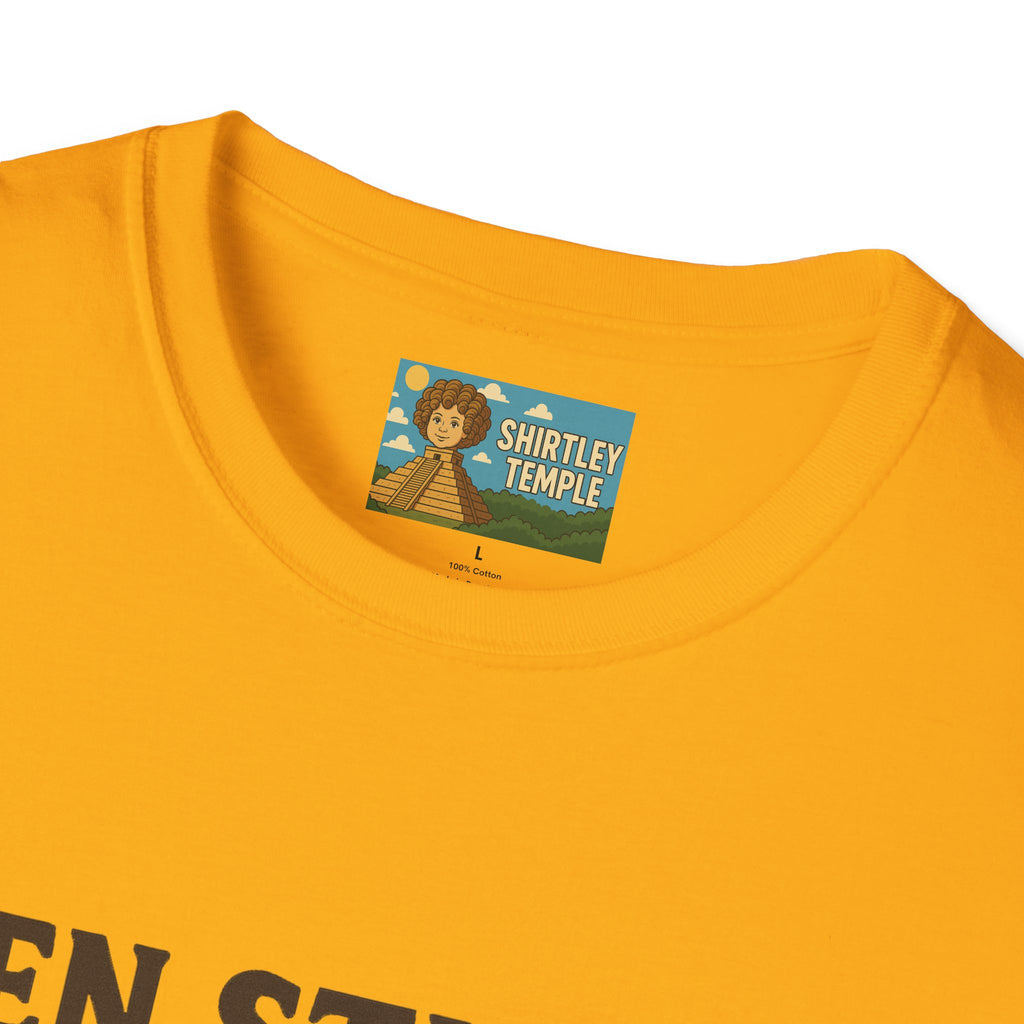 Zen Stiller Softstyle T-Shirt, Ben Tribute Actor Wordplay Tee, Laugh Gift Idea