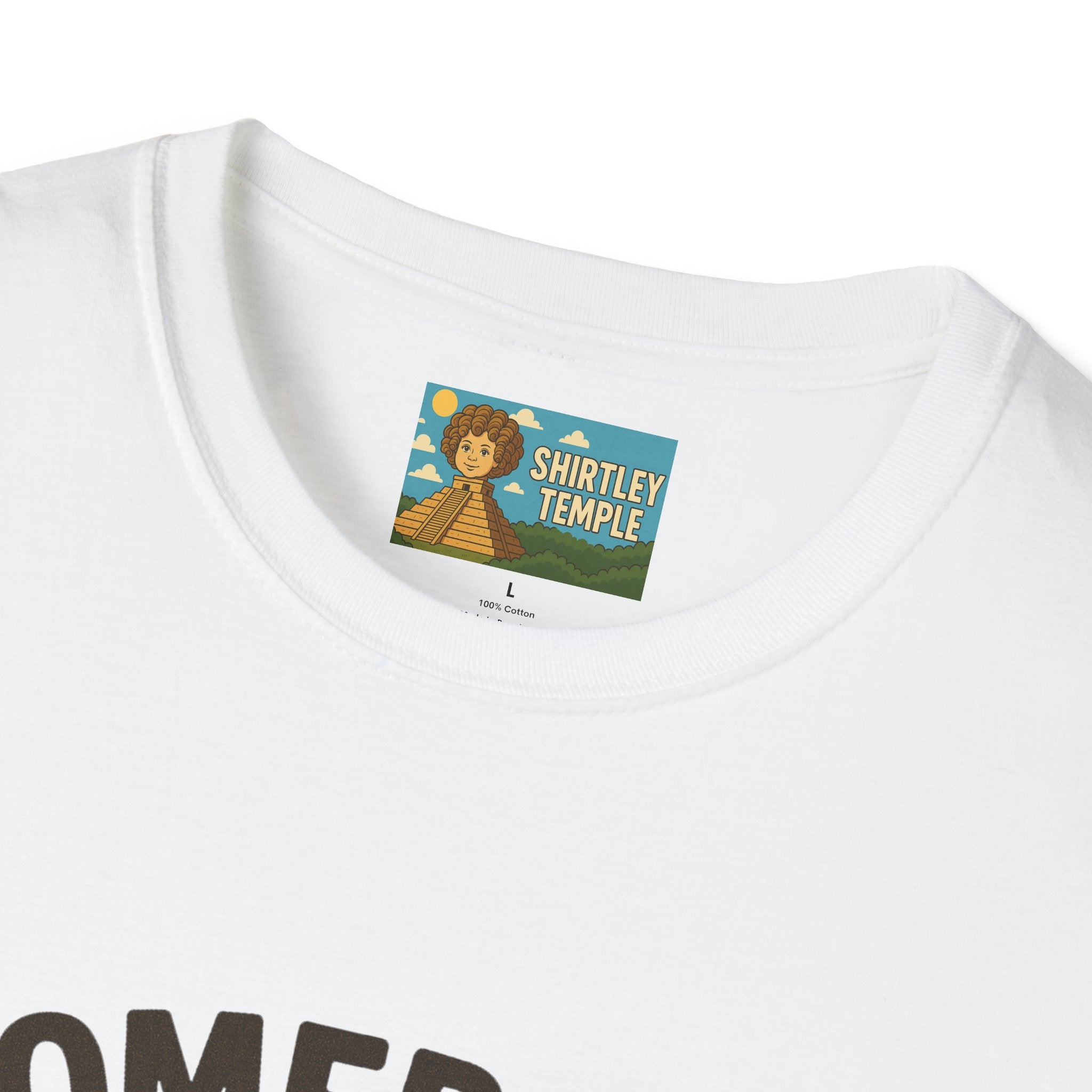 Homebody funny shirt wordplay pun literal home for a body