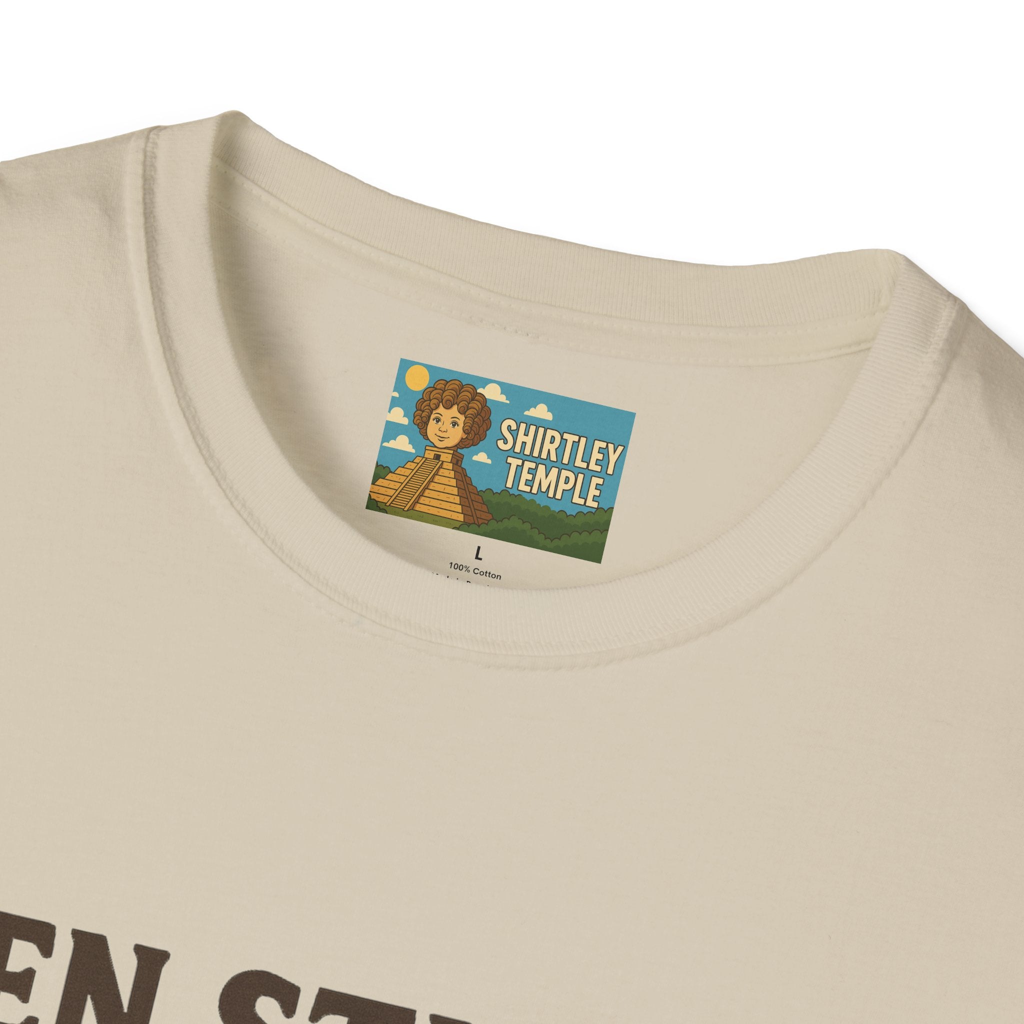 Zen Stiller Softstyle T-Shirt, Ben Tribute Actor Wordplay Tee, Laugh Gift Idea