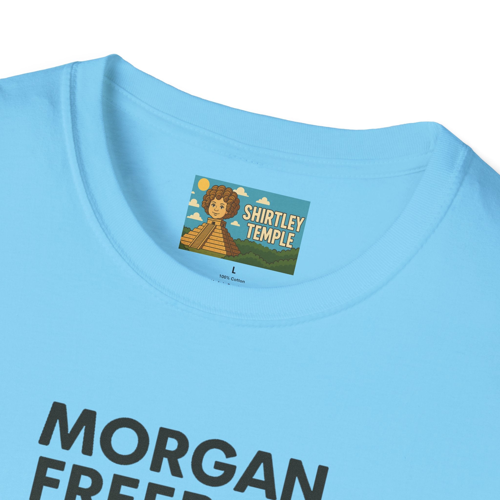 Morgan Freeboy Tribute T-Shirt, Funny Parody Tee, Morgan Freeman Wordplay Shirt, Unisex Softstyle, Gift for Comedy Lovers, Pop Culture Top