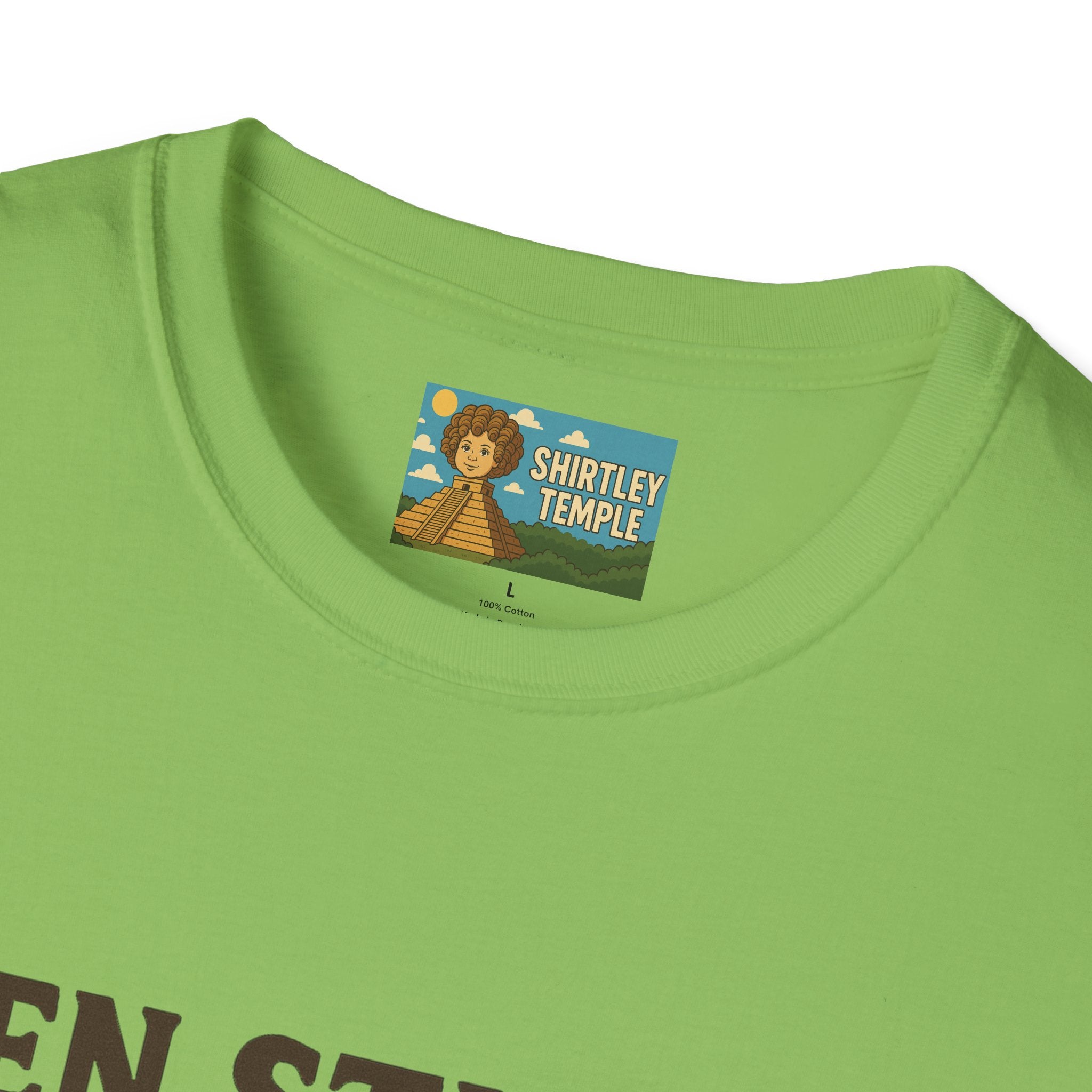 Zen Stiller Softstyle T-Shirt, Ben Tribute Actor Wordplay Tee, Laugh Gift Idea