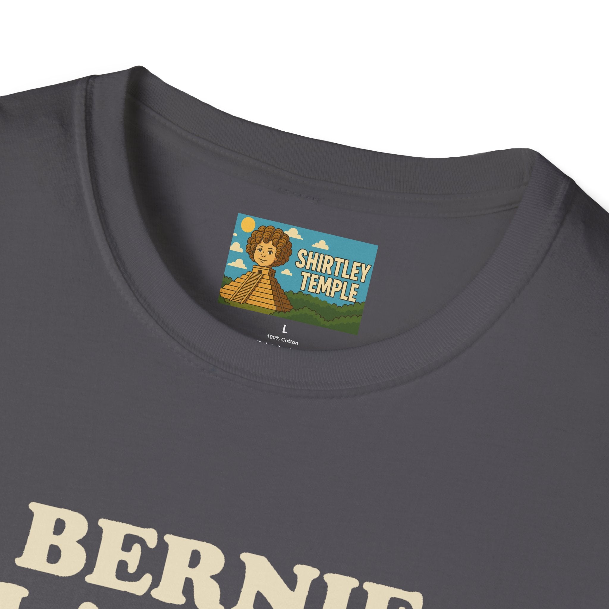 Bernie Flanders funny mashup simpson's style Bernie Sanders and Ned Flanders wordplay nerd gift unisex tee