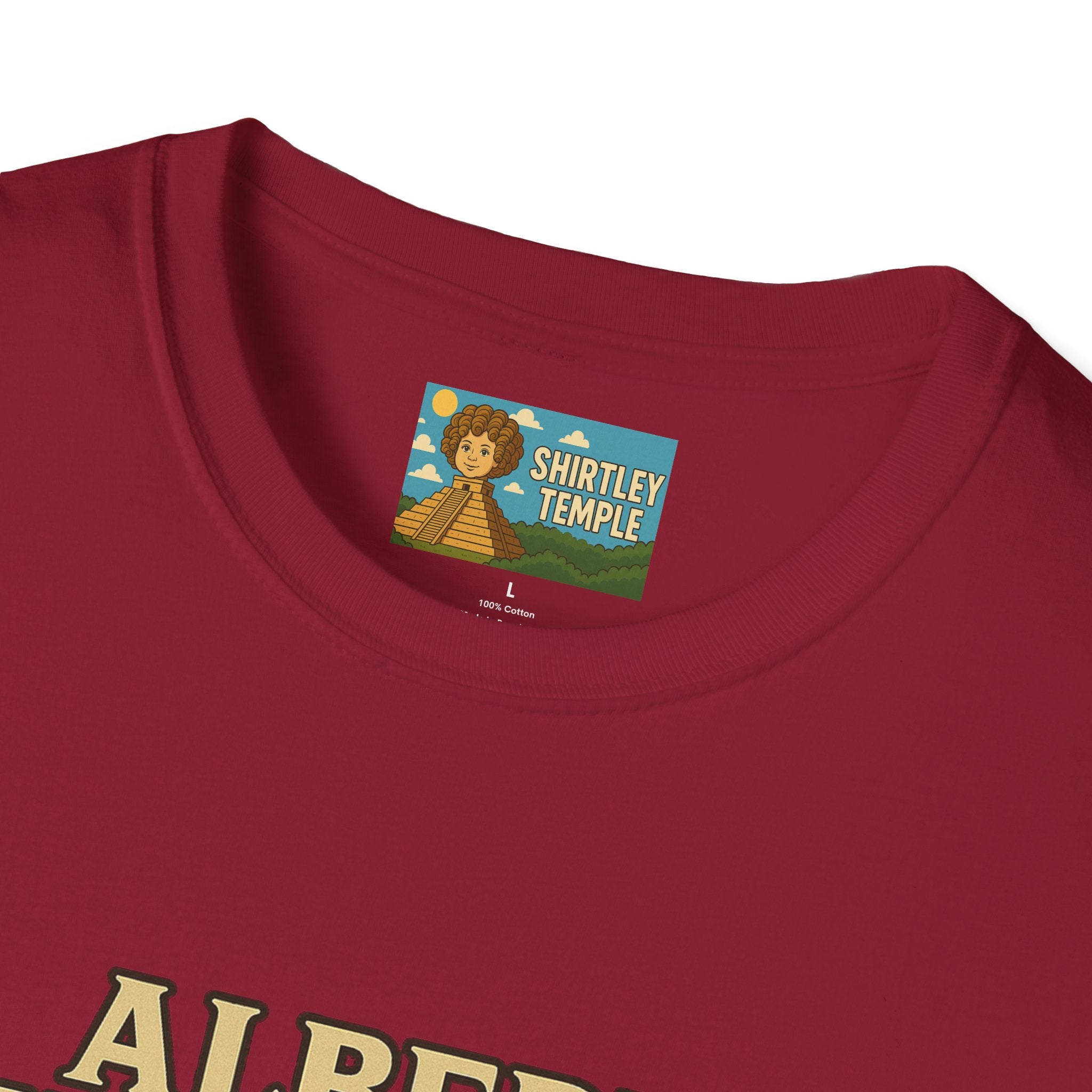 Albert Steinstein Unisex T-Shirt, Pun Beer Stein Science Tee, Gift for Nerds, Math Teacher Shirt, Physics Student Apparel