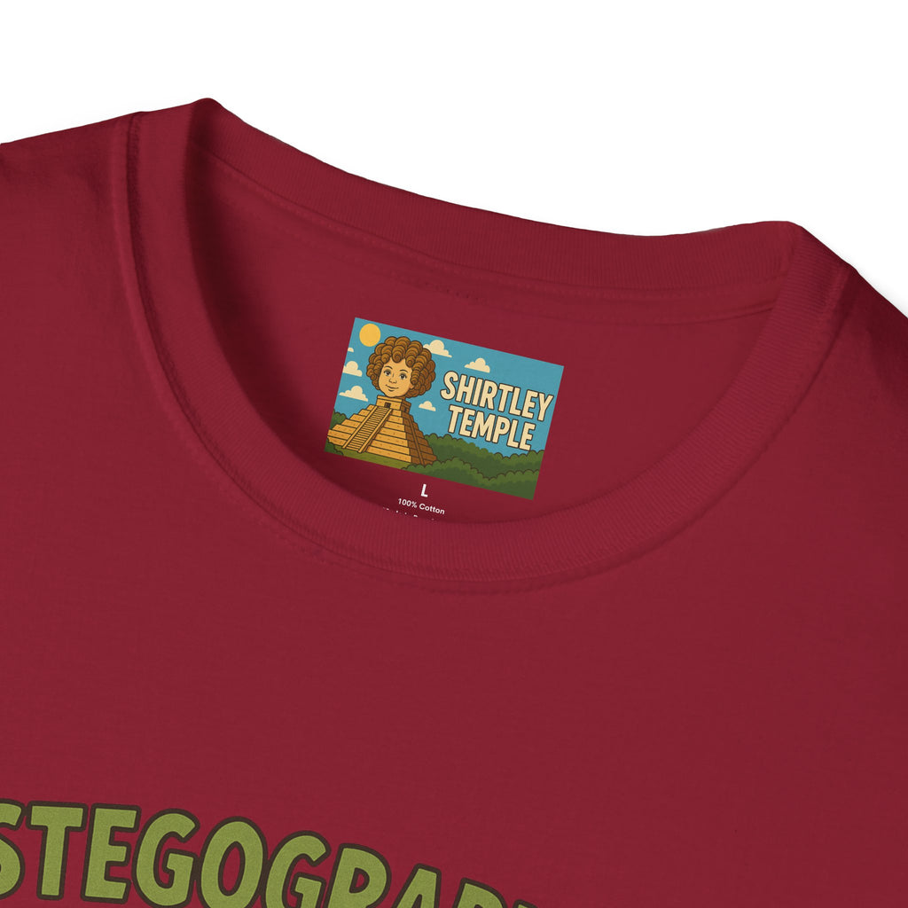 Stegographer Funny Stegosaurus Stenographer Mashup Softstyle Tee, Dino Wordplay Shirt, Unisex Tshirt Gift, Office tee for Dinosaur