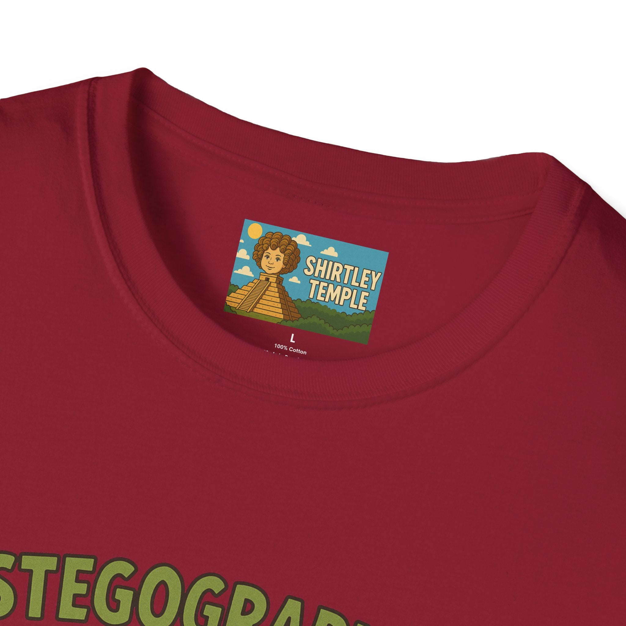 Stegographer Funny Stegosaurus Stenographer Mashup Softstyle Tee, Dino Wordplay Shirt, Unisex Tshirt Gift, Office tee for Dinosaur