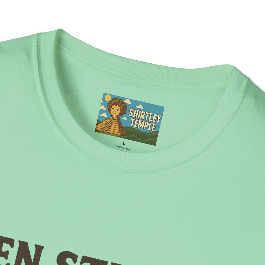 Zen Stiller Softstyle T-Shirt, Ben Tribute Actor Wordplay Tee, Laugh Gift Idea