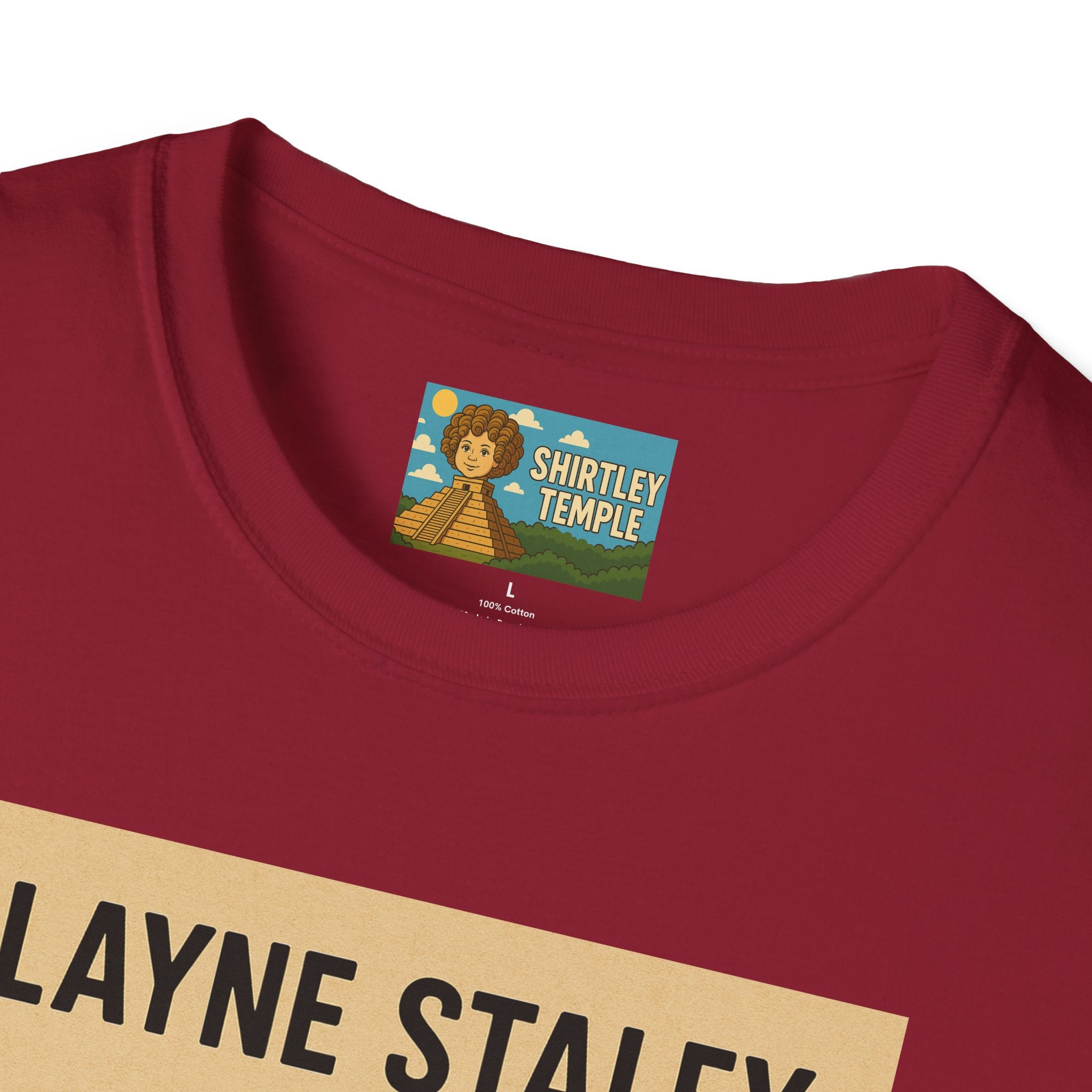Layne Staley Man in the Box Unisex Softstyle T-Shirt - Alice in Chains Inspired Tee, Music Fan Gift, Grunge Rock Band Top, Funny