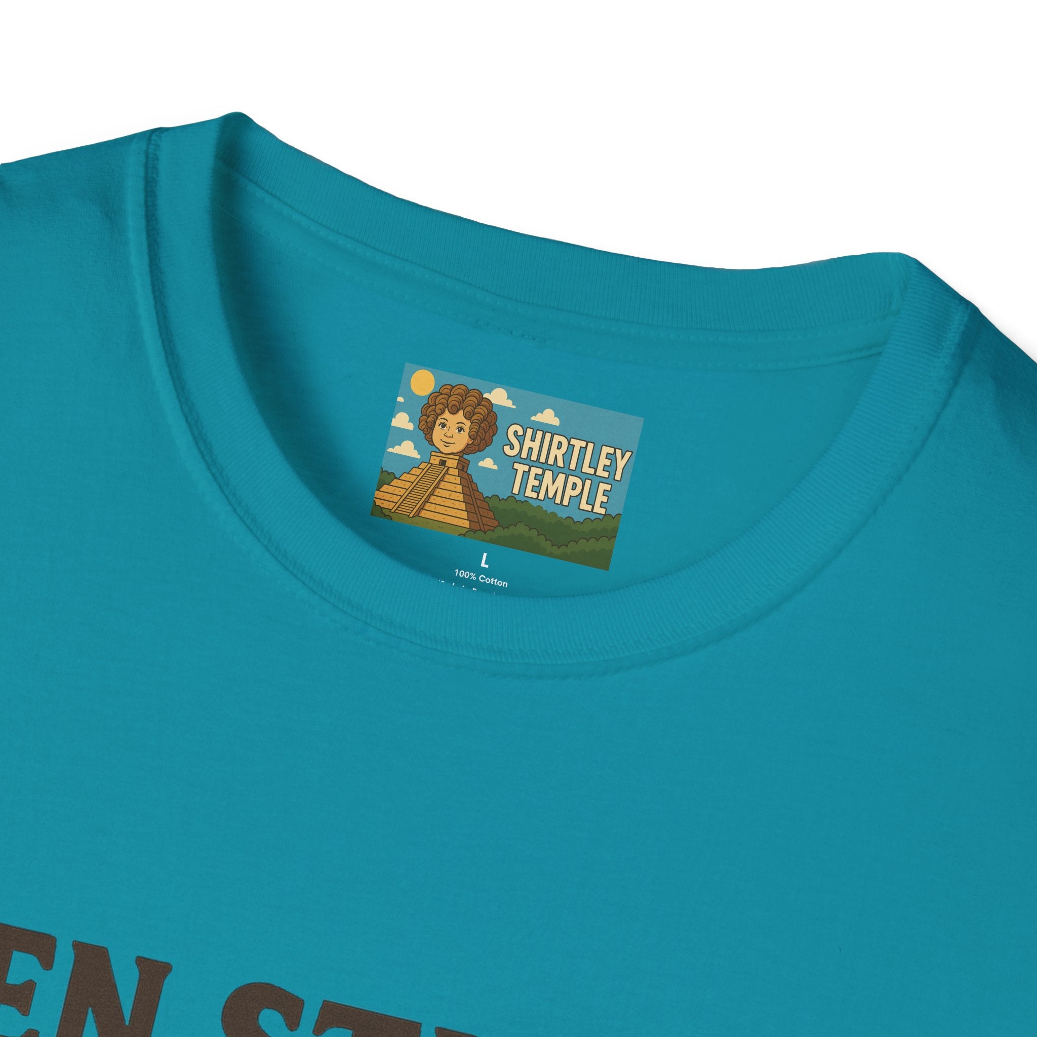 Zen Stiller Softstyle T-Shirt, Ben Tribute Actor Wordplay Tee, Laugh Gift Idea