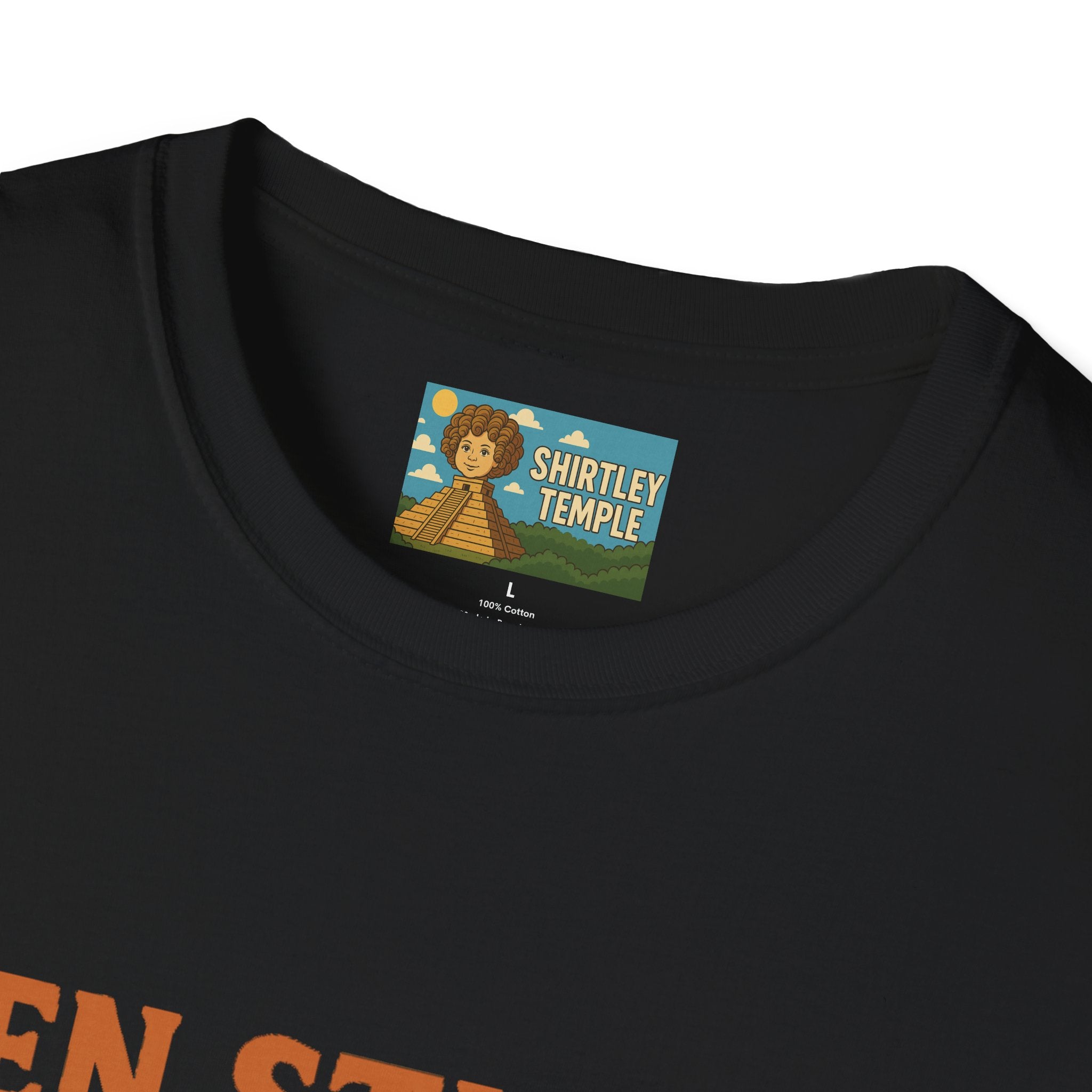 Zen Stiller Softstyle T-Shirt, Ben Tribute Actor Wordplay Tee, Laugh Gift Idea