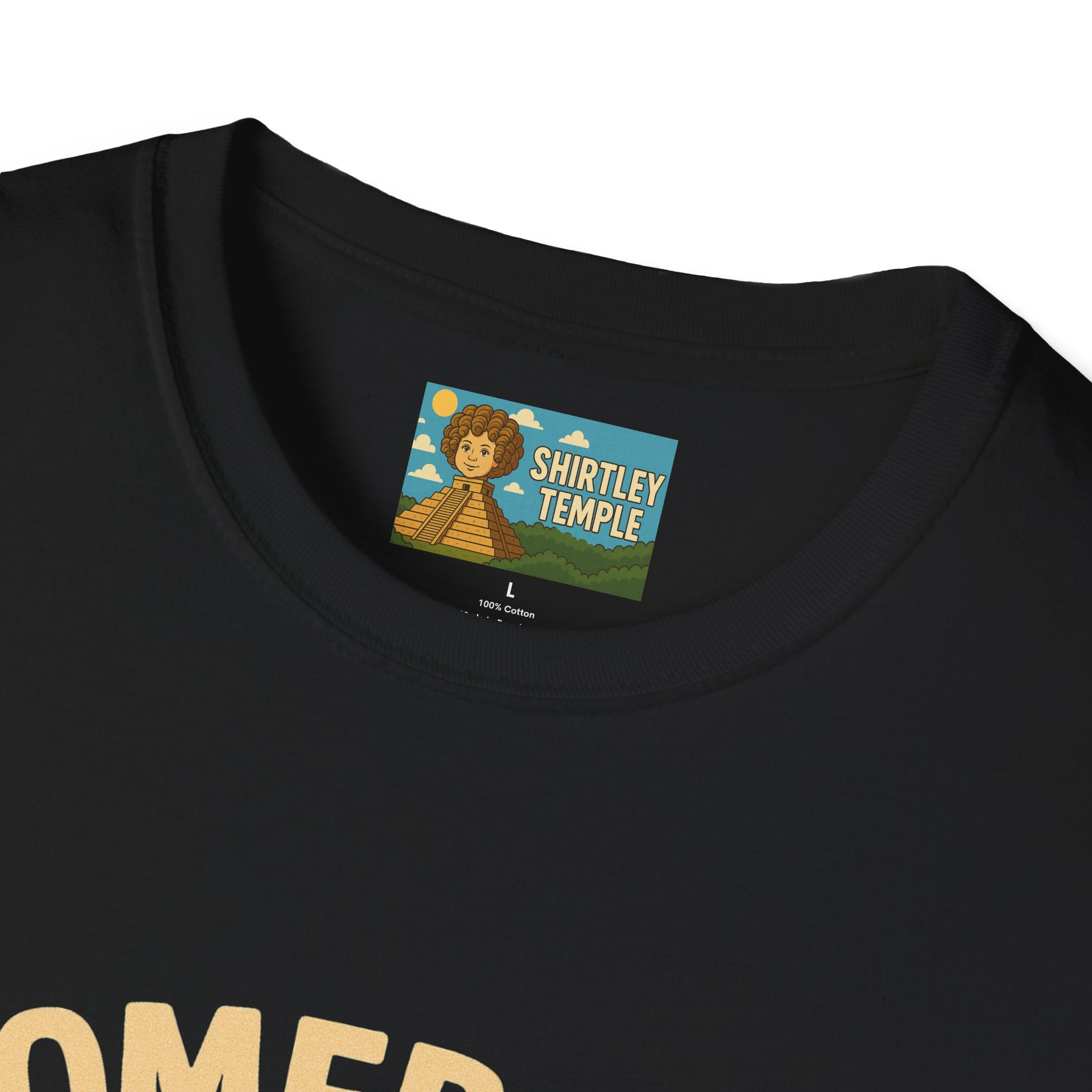 Homebody funny shirt wordplay pun literal home for a body