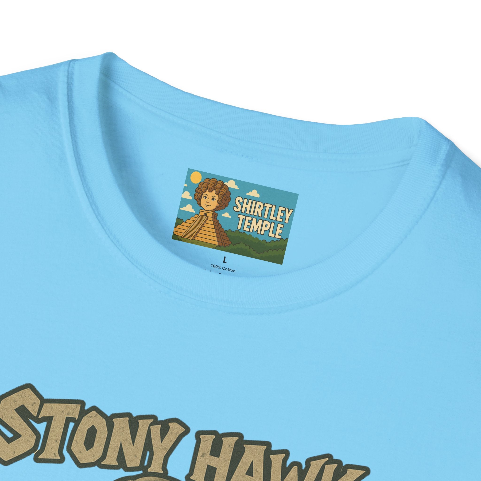 Stony Hawk Unisex T-Shirt, Skateboard Legend Parody Tee, Statue Wordplay Shirt, Funny Skater Gift, Skateboarding Fan Top