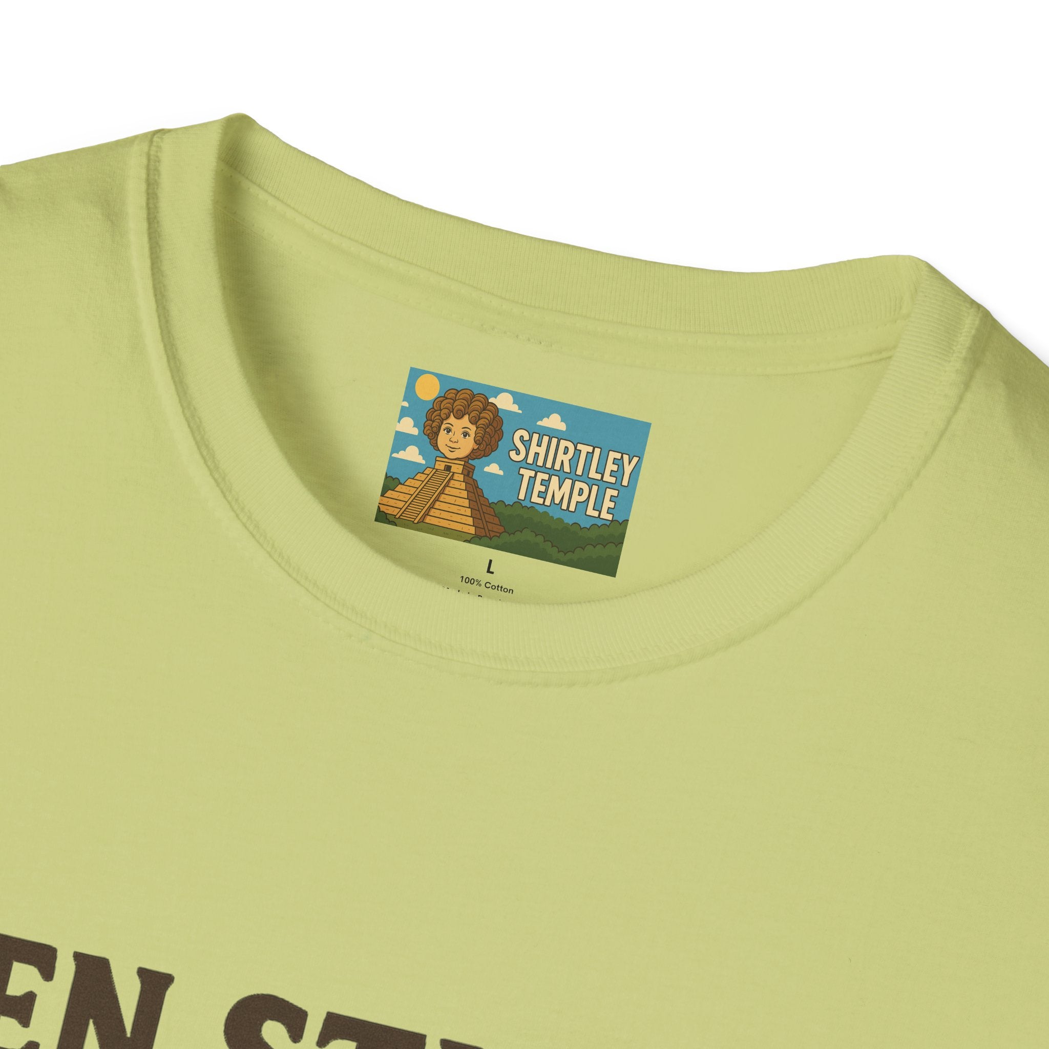 Zen Stiller Softstyle T-Shirt, Ben Tribute Actor Wordplay Tee, Laugh Gift Idea