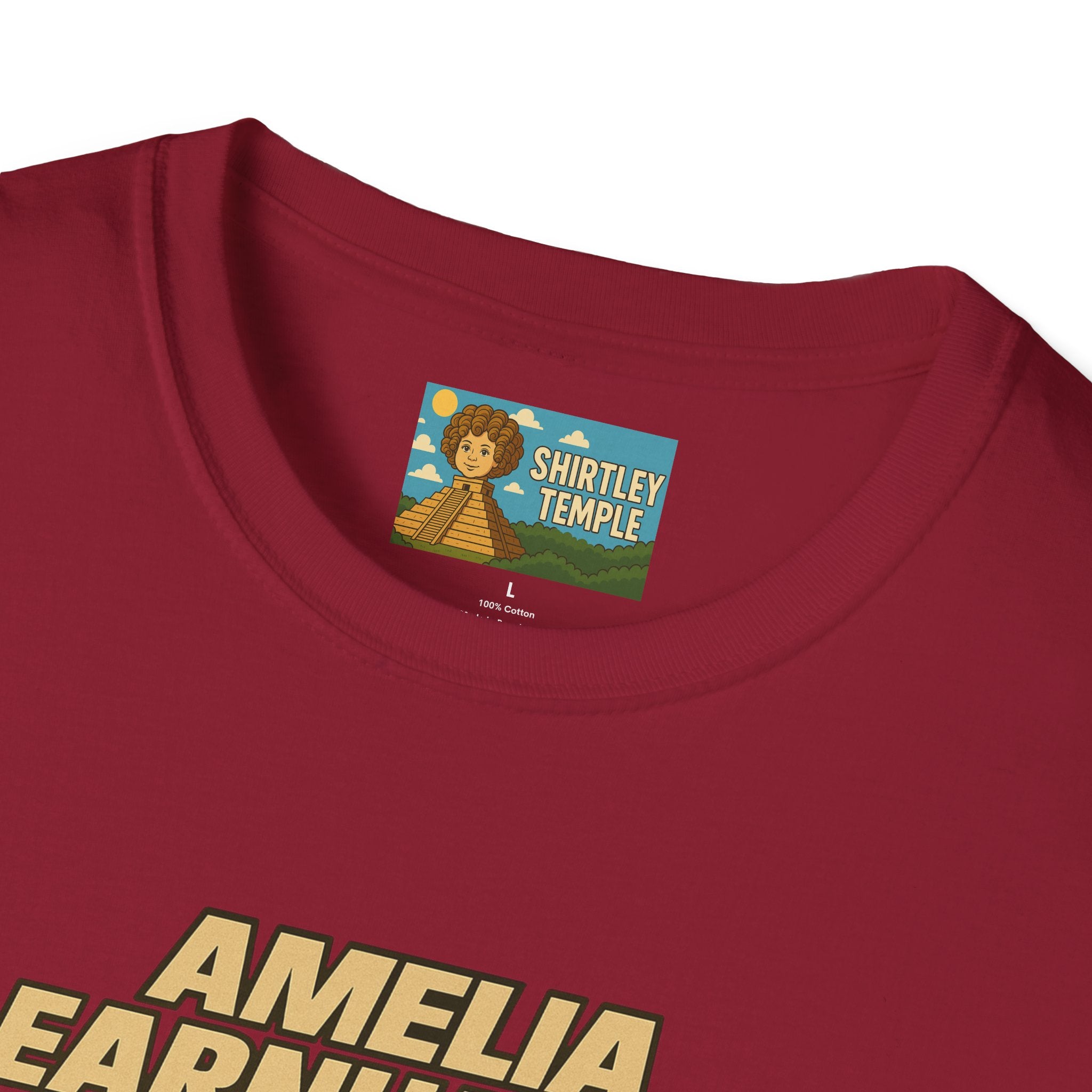 Amelia Earnhardt Funny Mashup Unisex Softstyle T-Shirt, Pilot Pun Tee, Earhart Earnhardt Gift, Aviation Racing Shirt