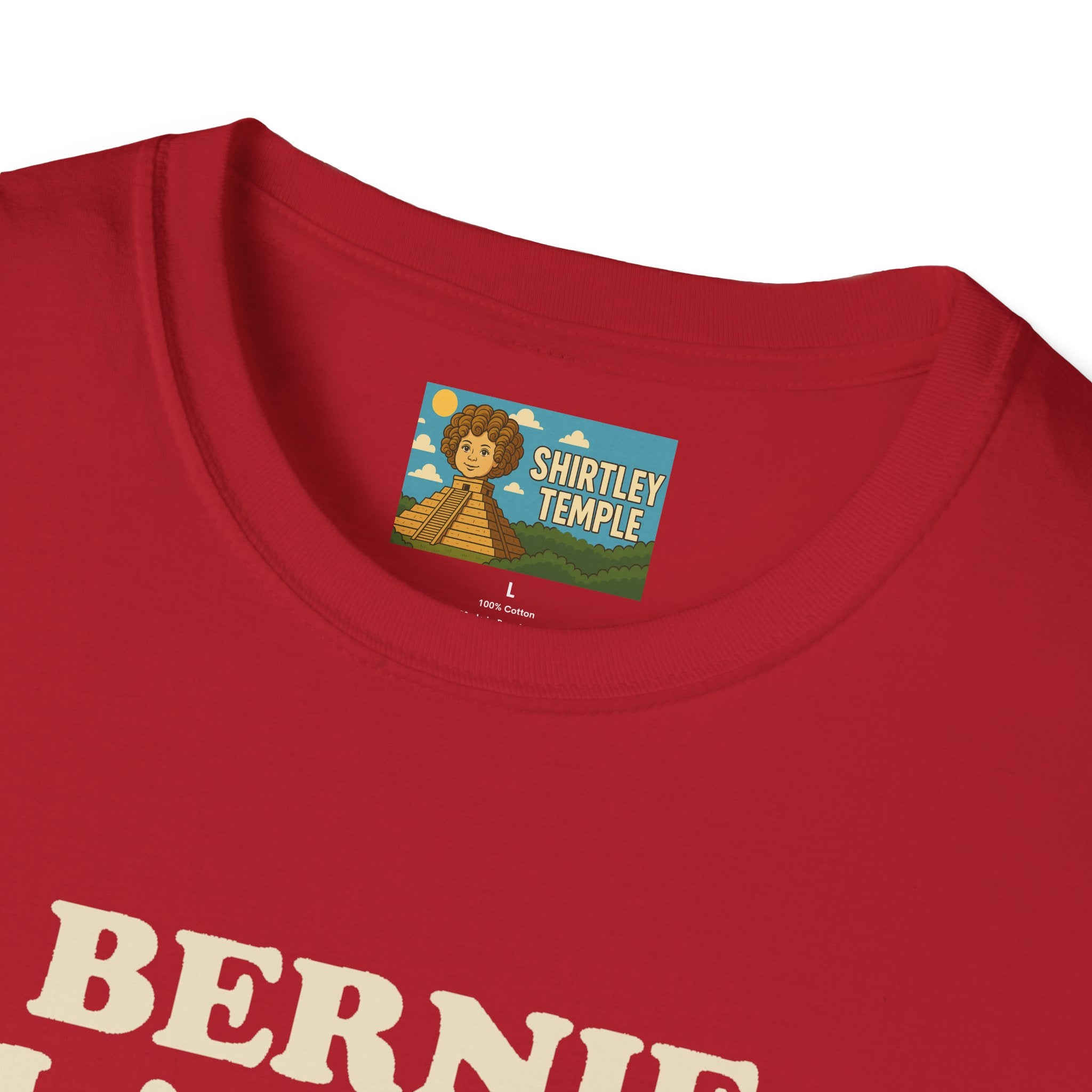 Bernie Flanders funny mashup simpson's style Bernie Sanders and Ned Flanders wordplay nerd gift unisex tee